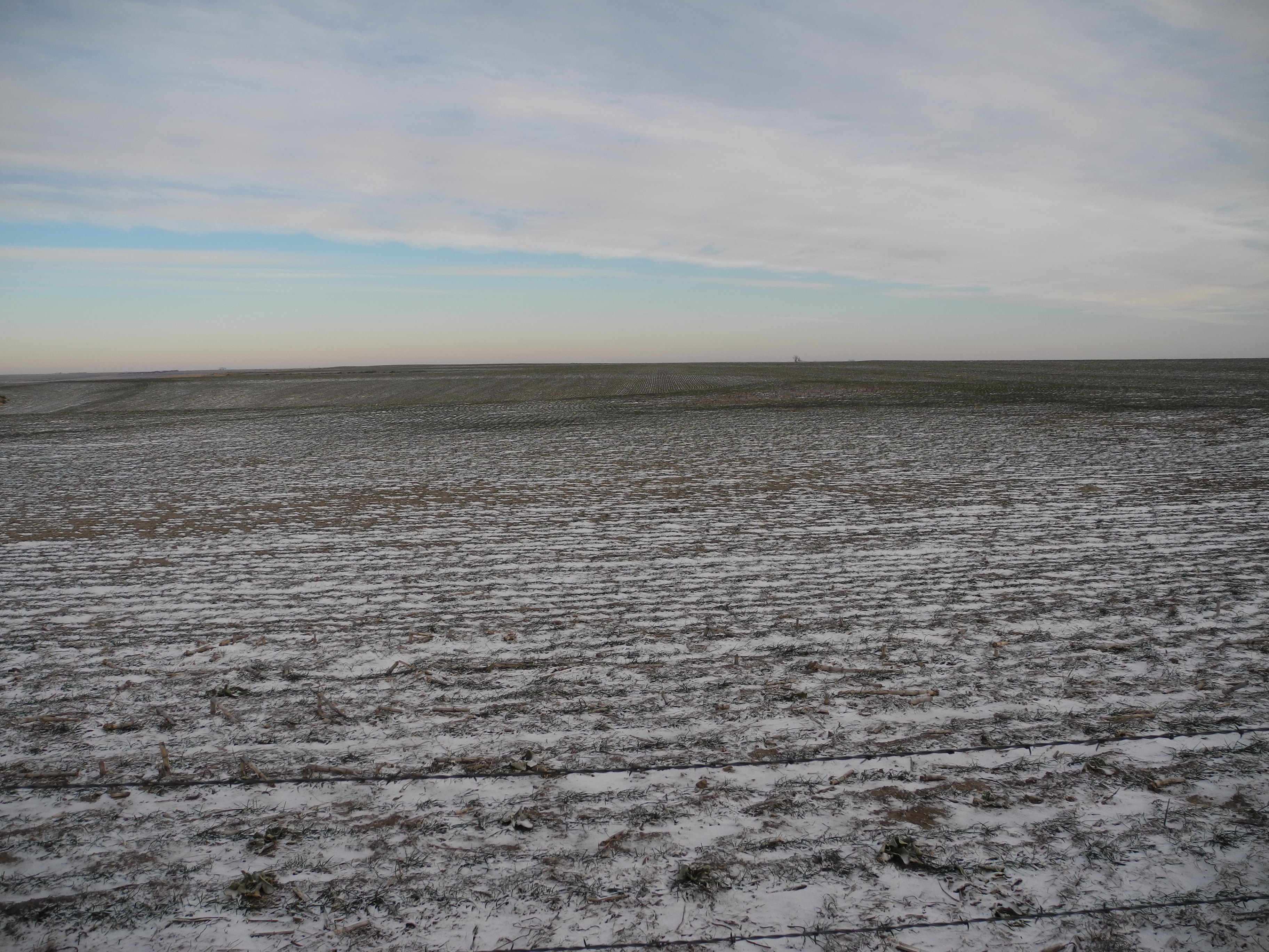 Kansas, Nebraska Farm & Ranch property picture 23 of 28