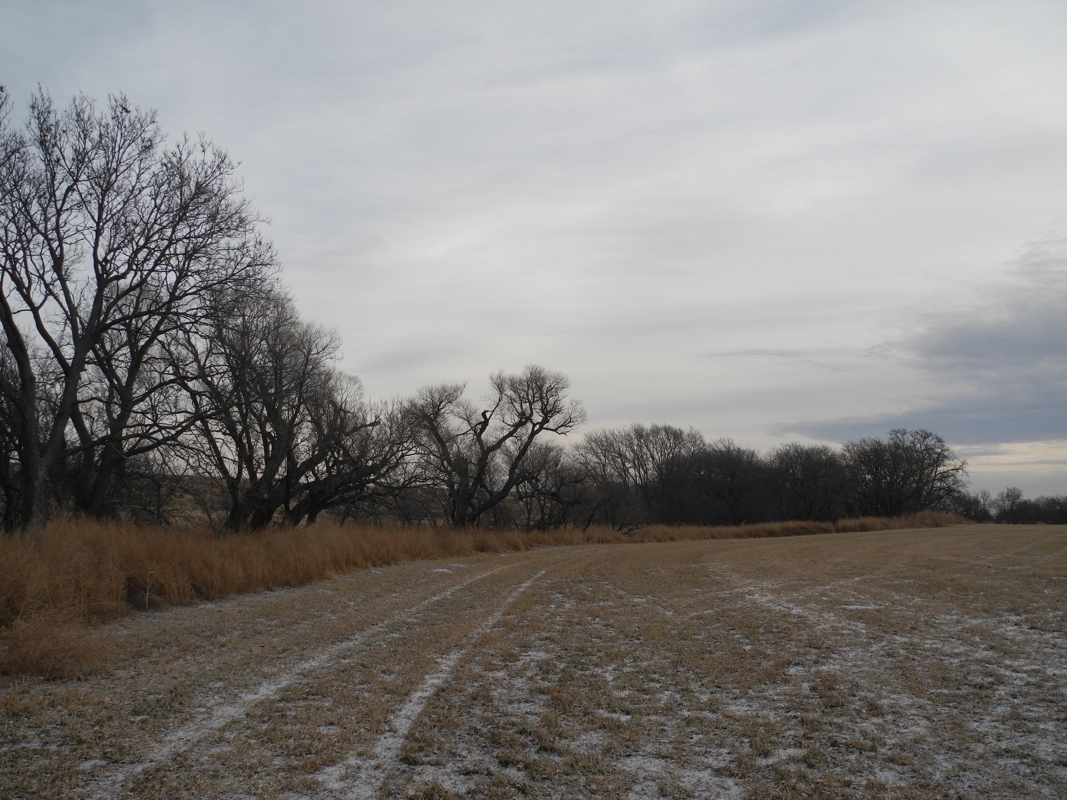 Kansas, Nebraska Farm & Ranch property picture 9 of 28