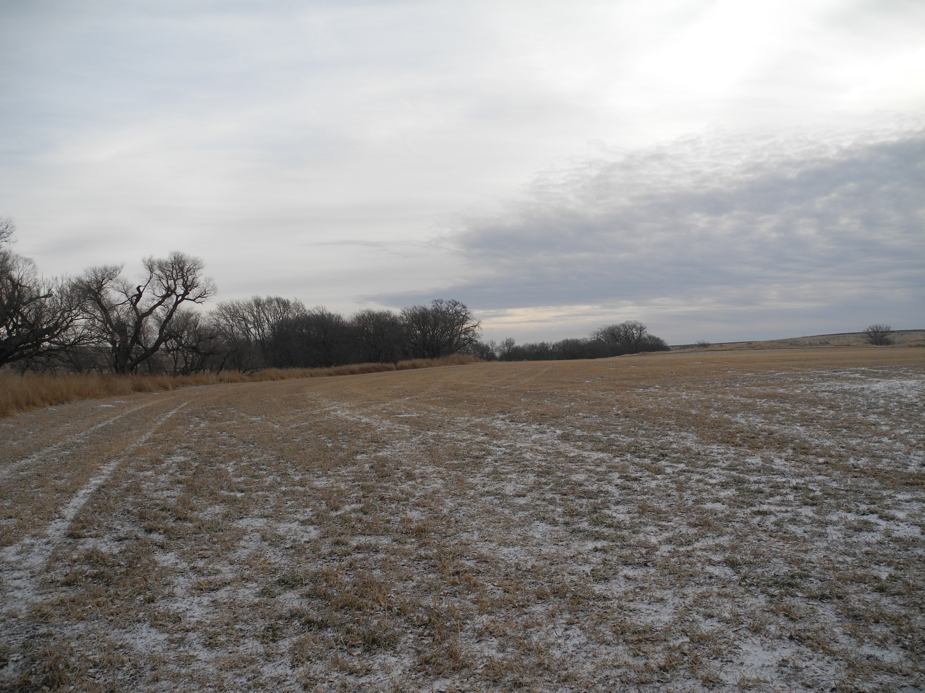 Kansas, Nebraska Farm & Ranch property picture 3 of 28