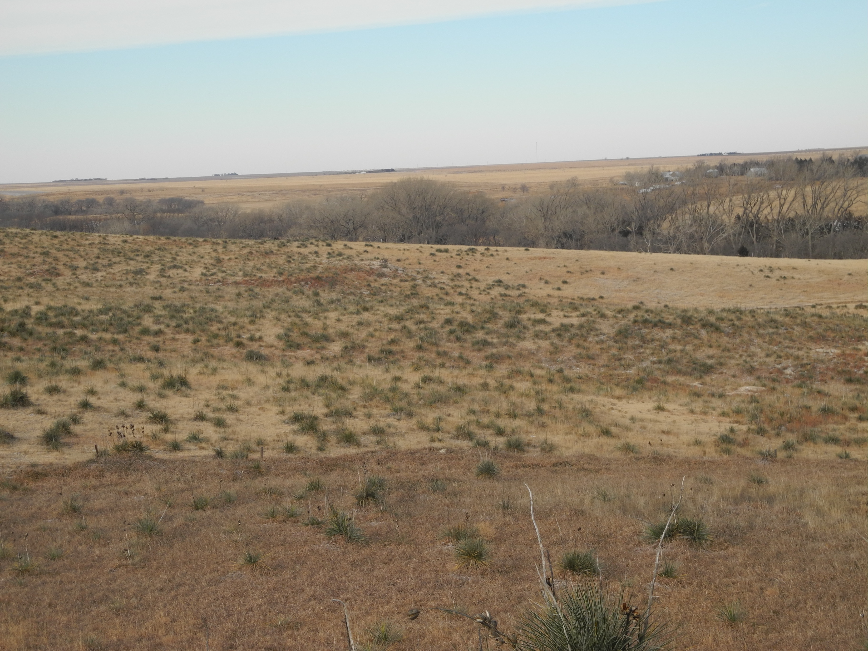 Kansas, Nebraska Farm & Ranch property picture 19 of 28