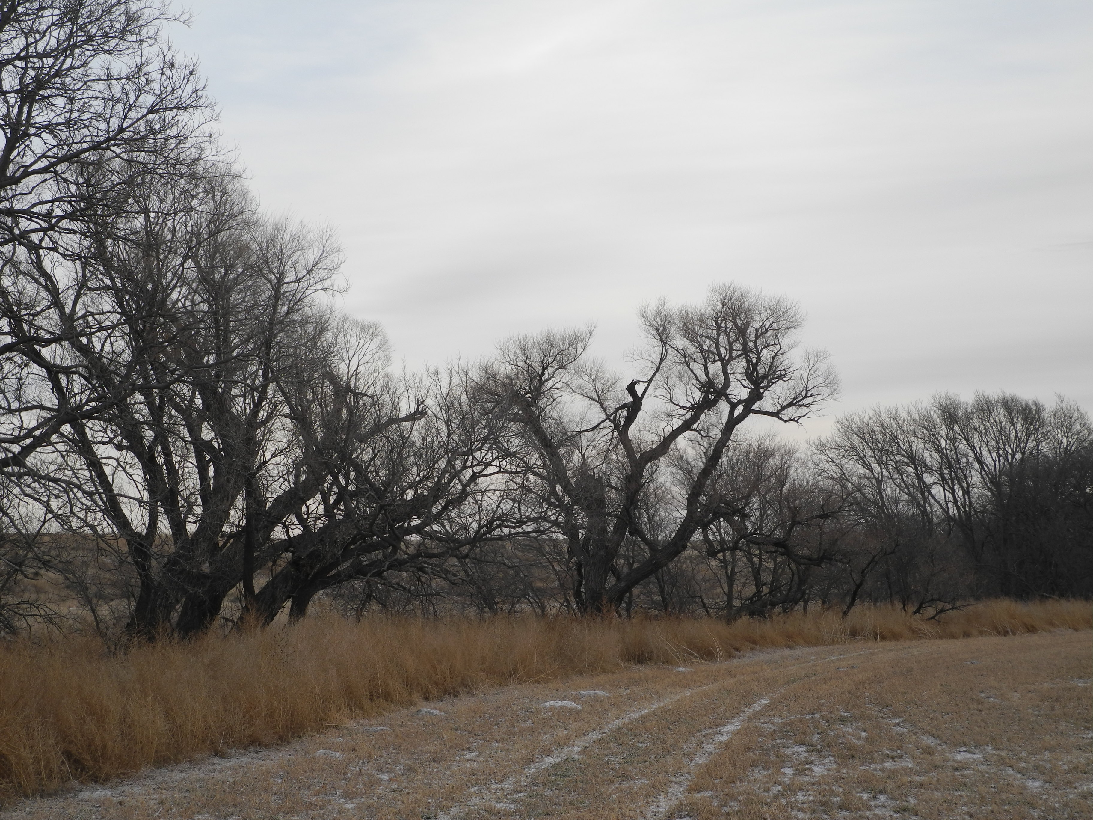 Kansas, Nebraska Farm & Ranch property picture 12 of 28