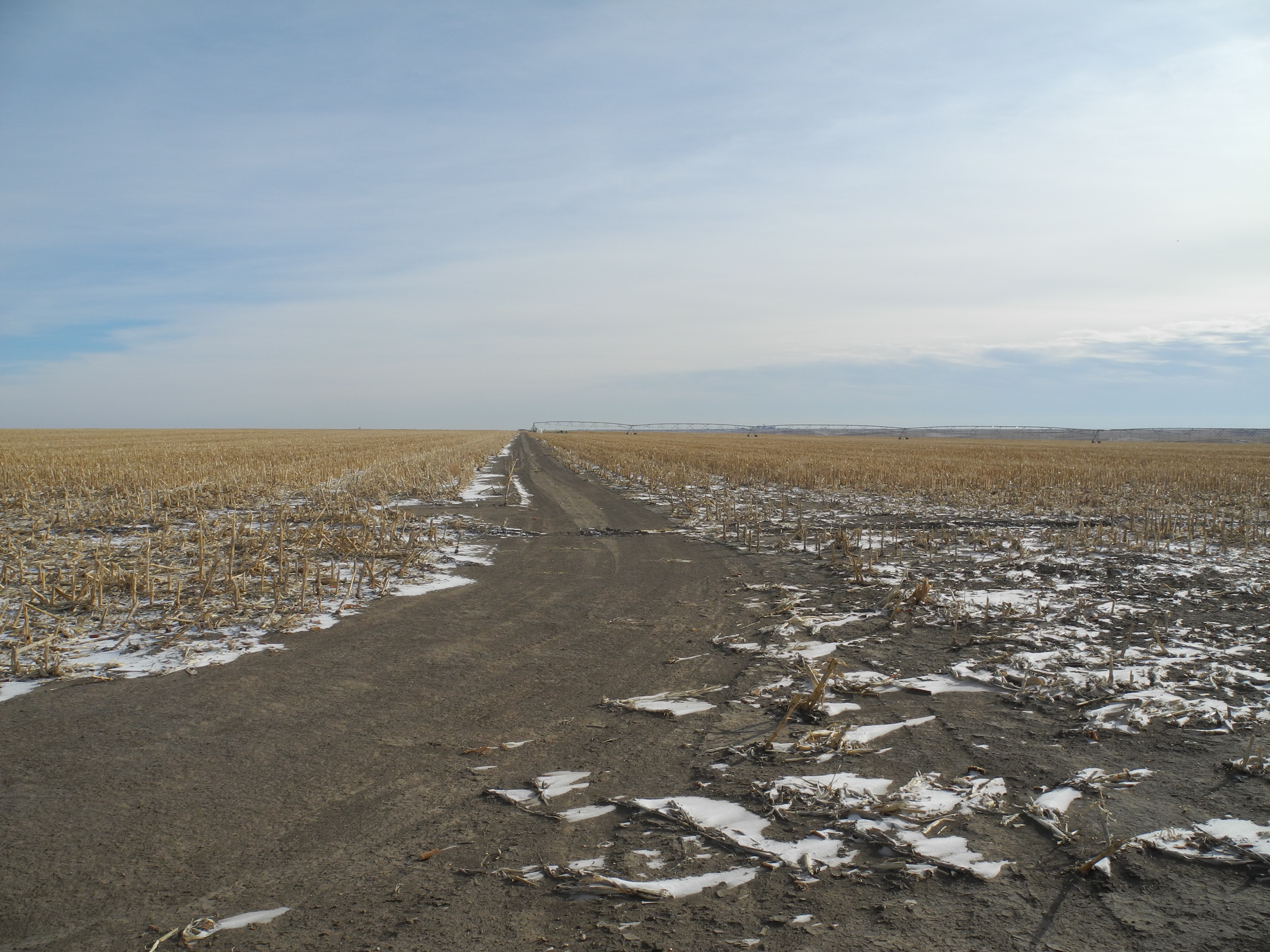 Kansas, Nebraska Farm & Ranch property picture 24 of 28