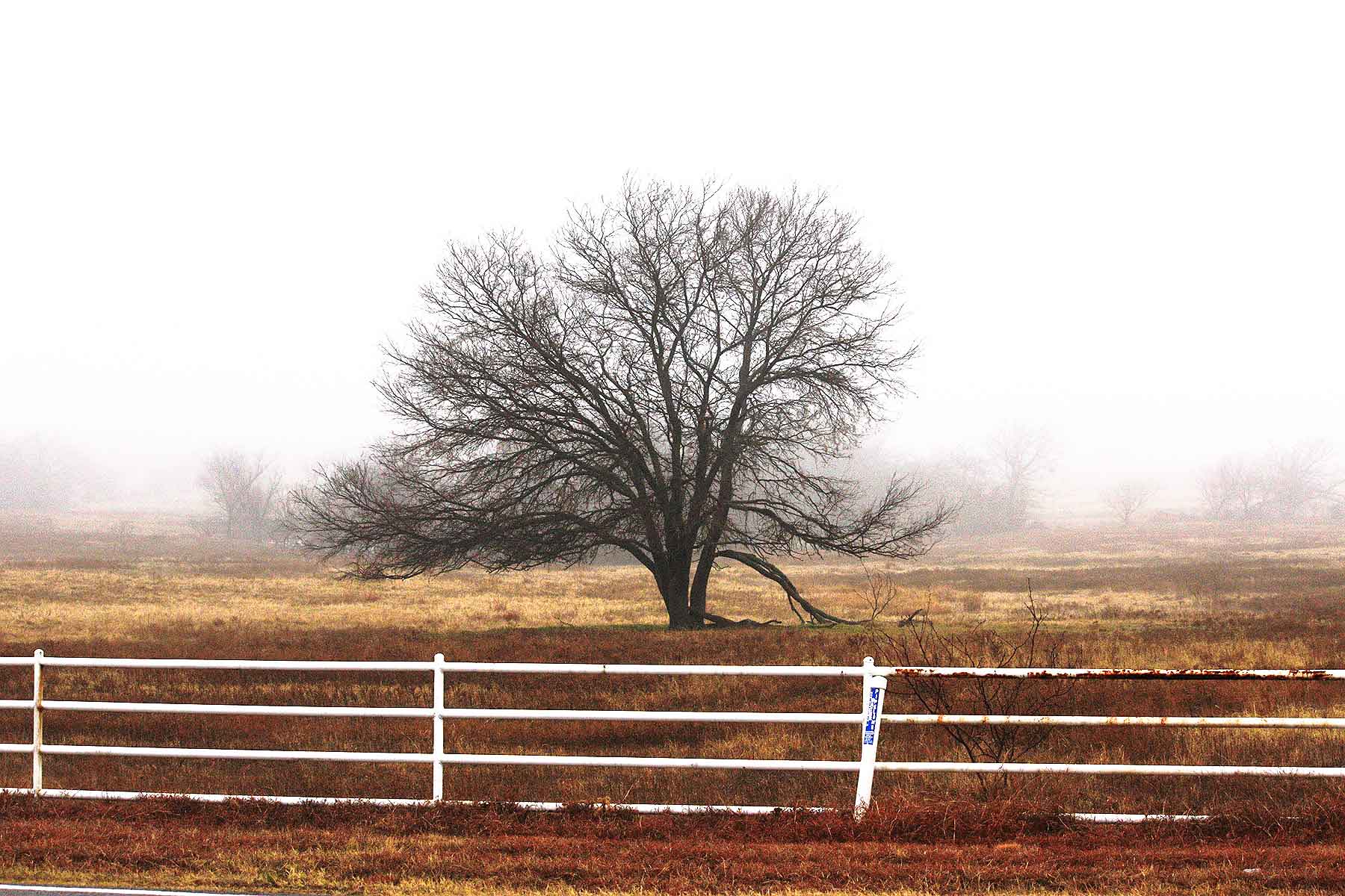 Lucky Star Ranch property picture 3 of 157