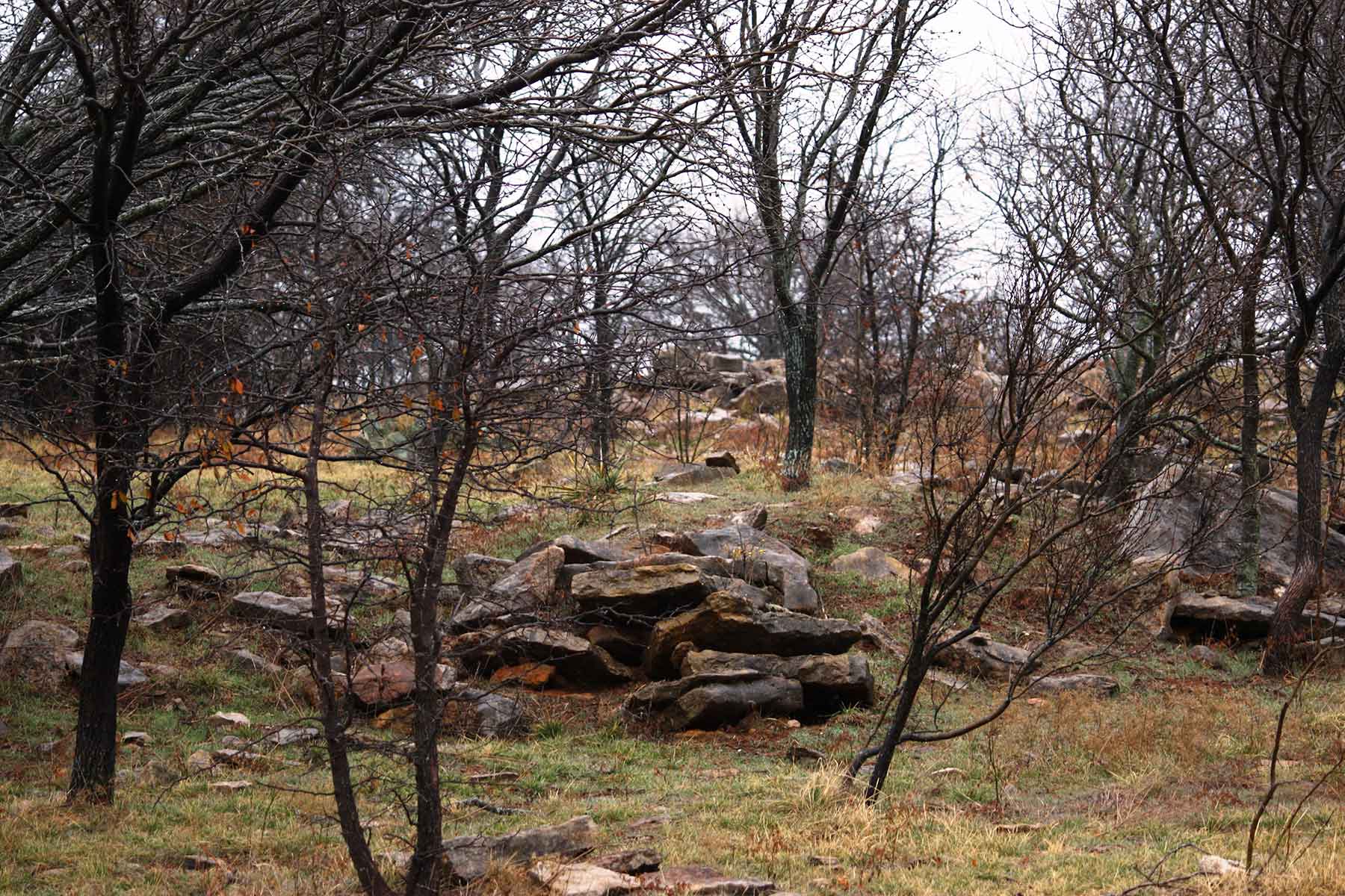 Lucky Star Ranch property picture 5 of 157