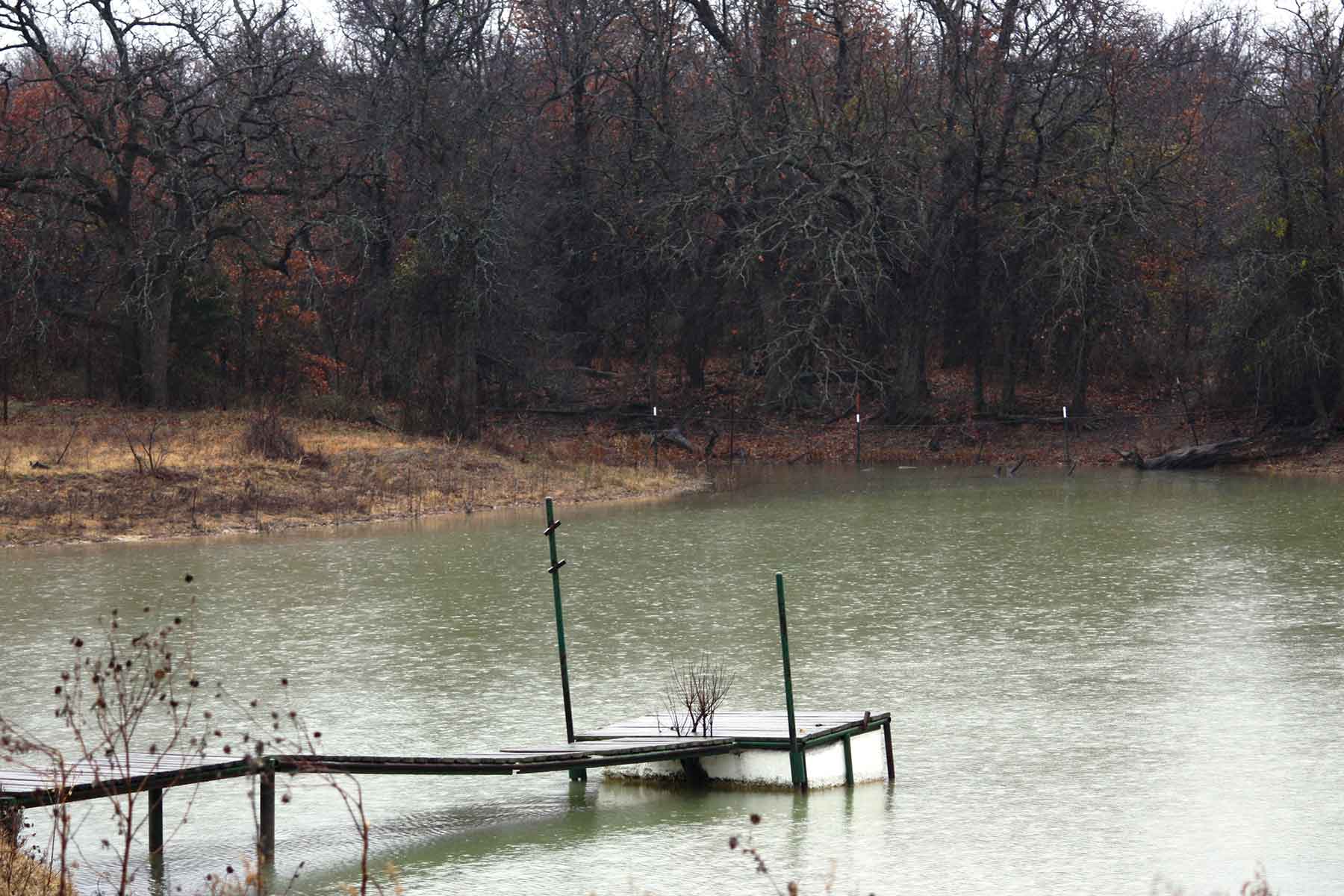 Lucky Star Ranch property picture 2 of 157