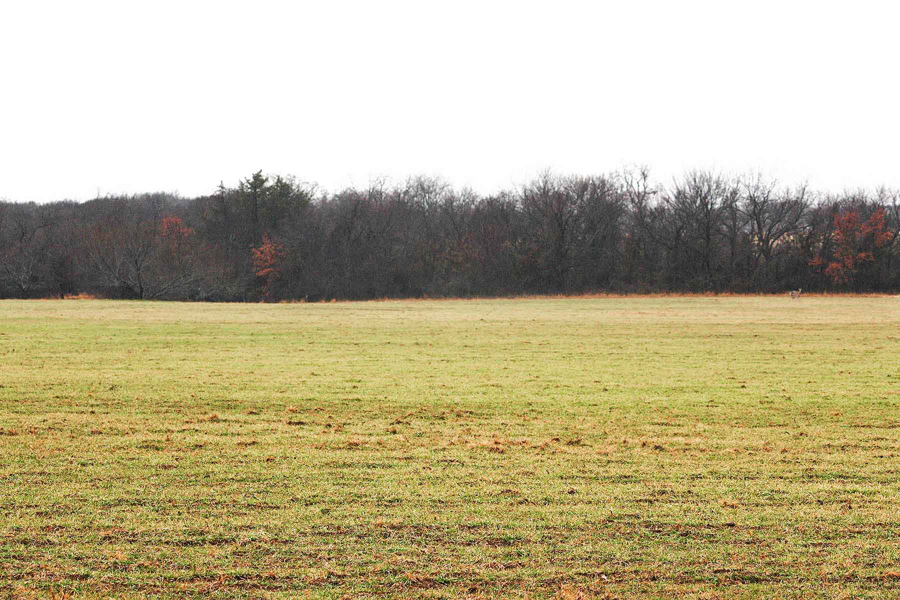 Lucky Star Ranch property picture 7 of 157