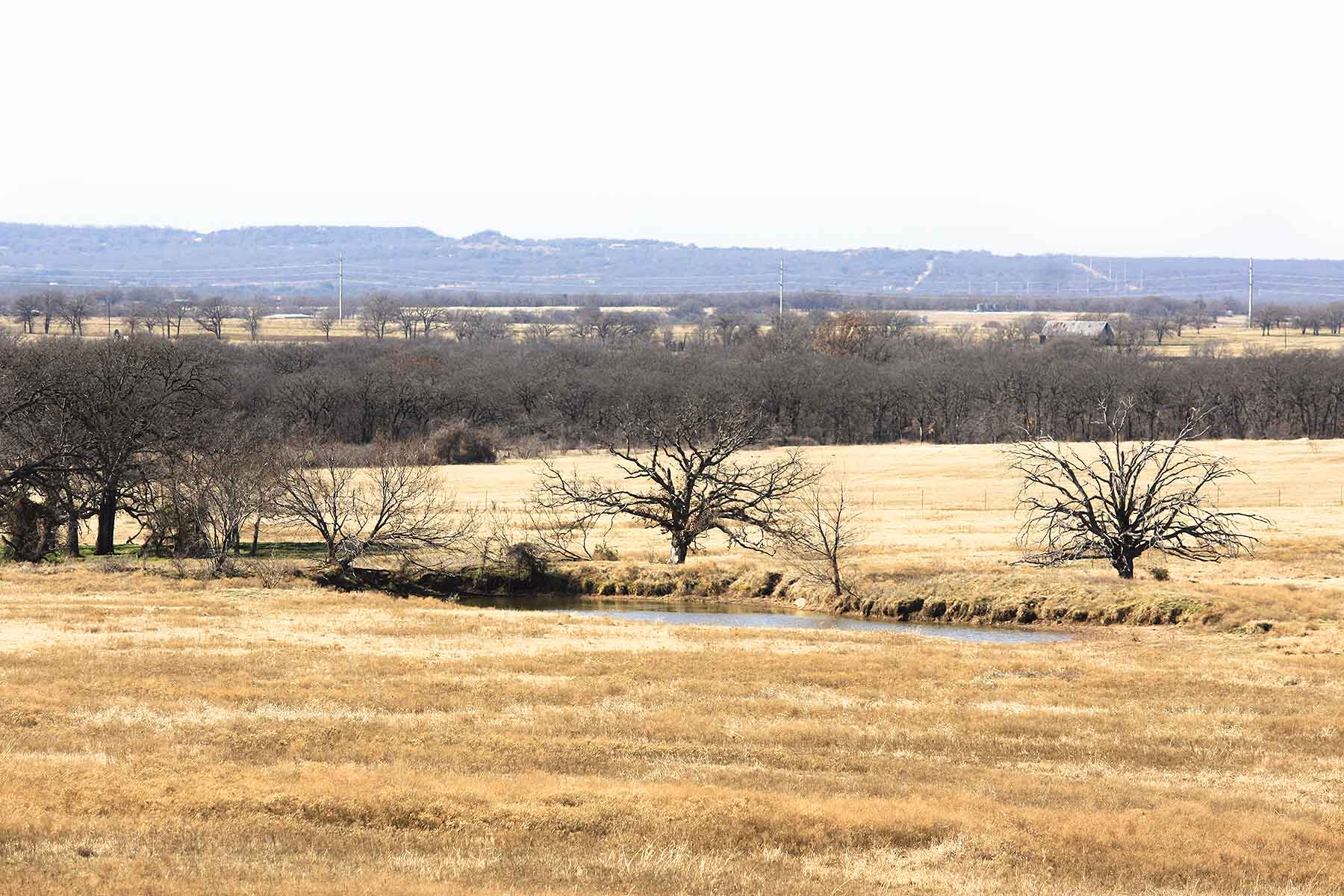Lucky Star Ranch property picture 18 of 157