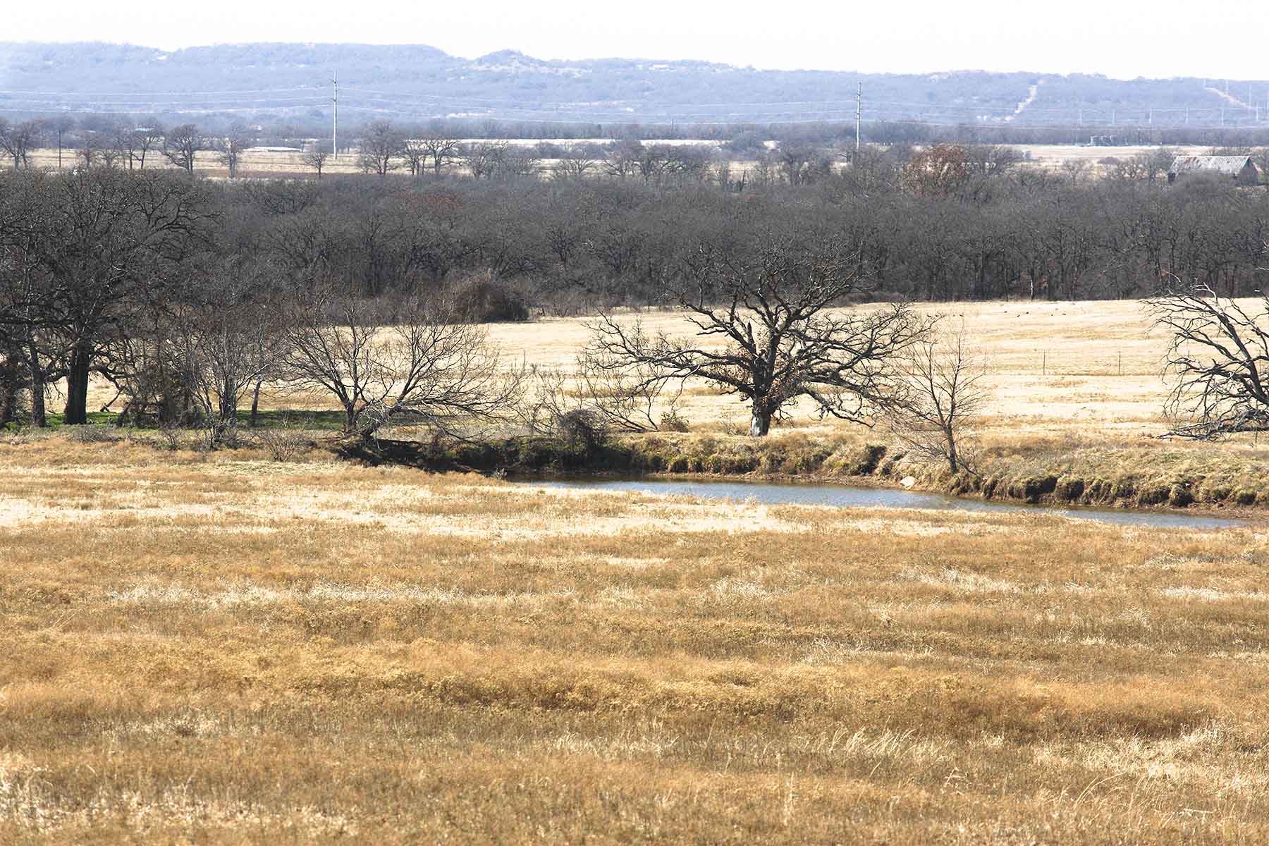 Lucky Star Ranch property picture 20 of 157