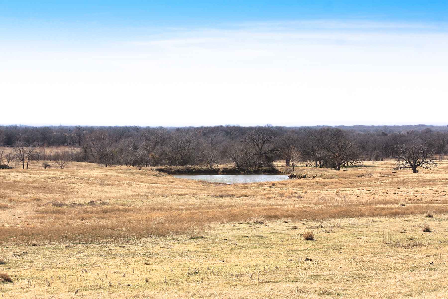 Lucky Star Ranch property picture 21 of 157