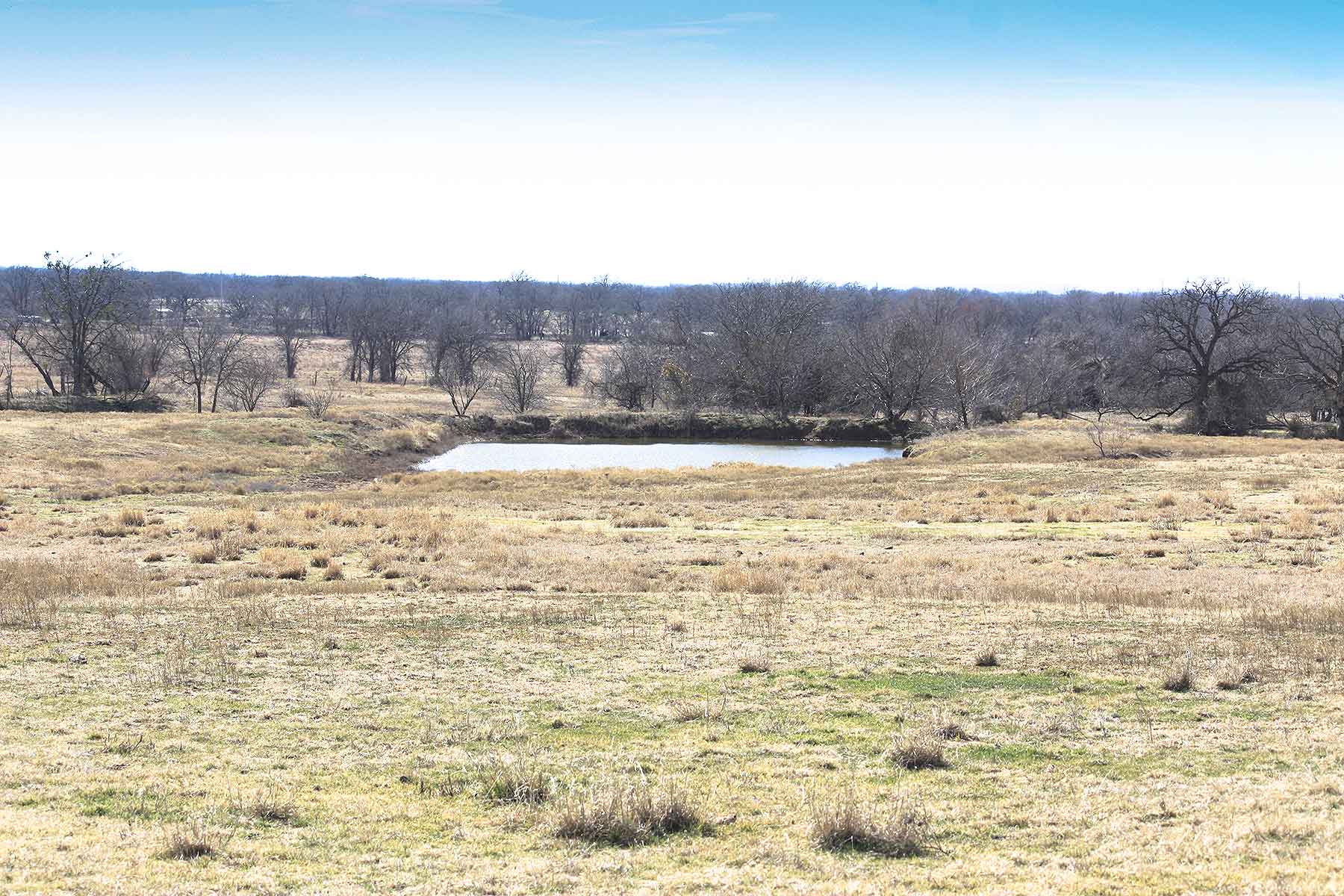 Lucky Star Ranch property picture 23 of 157