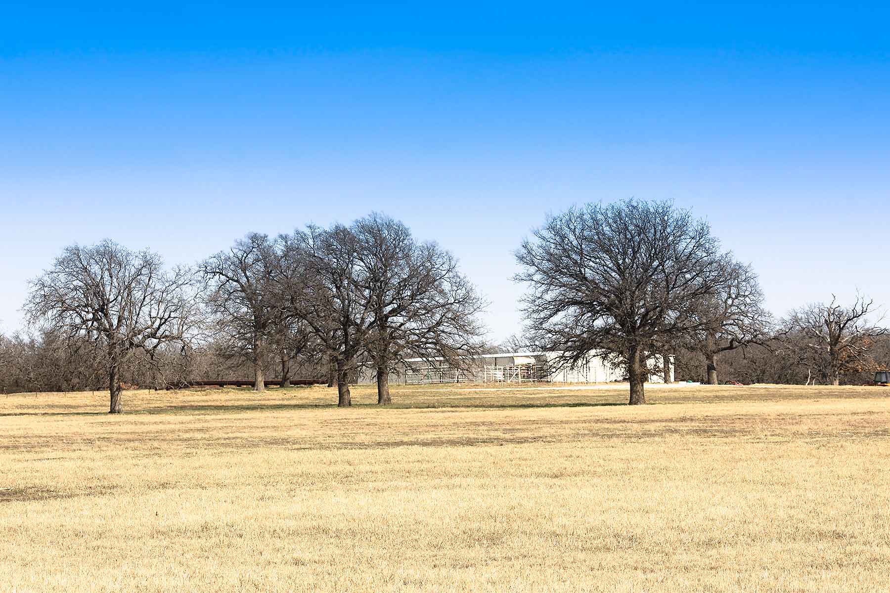 Lucky Star Ranch property picture 26 of 157