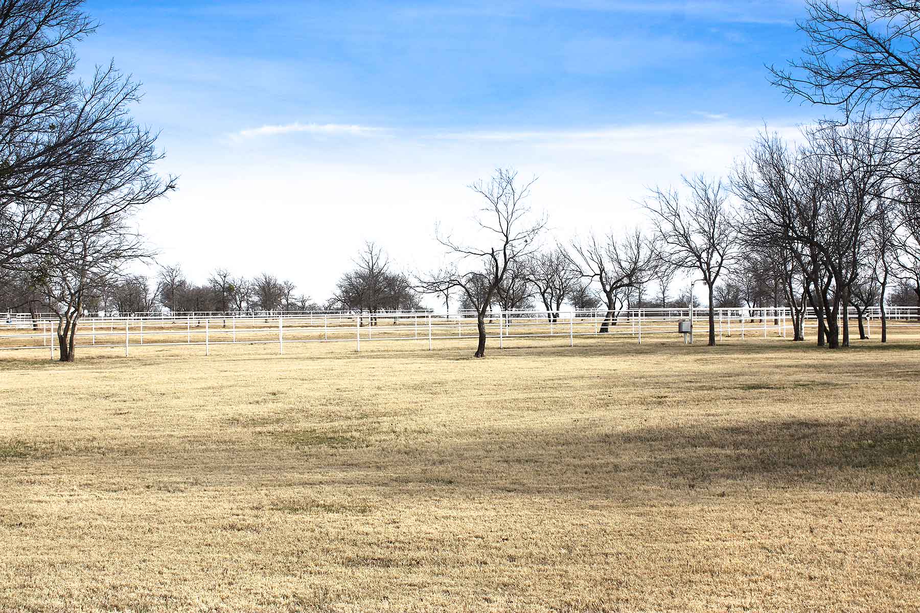 Lucky Star Ranch property picture 32 of 157