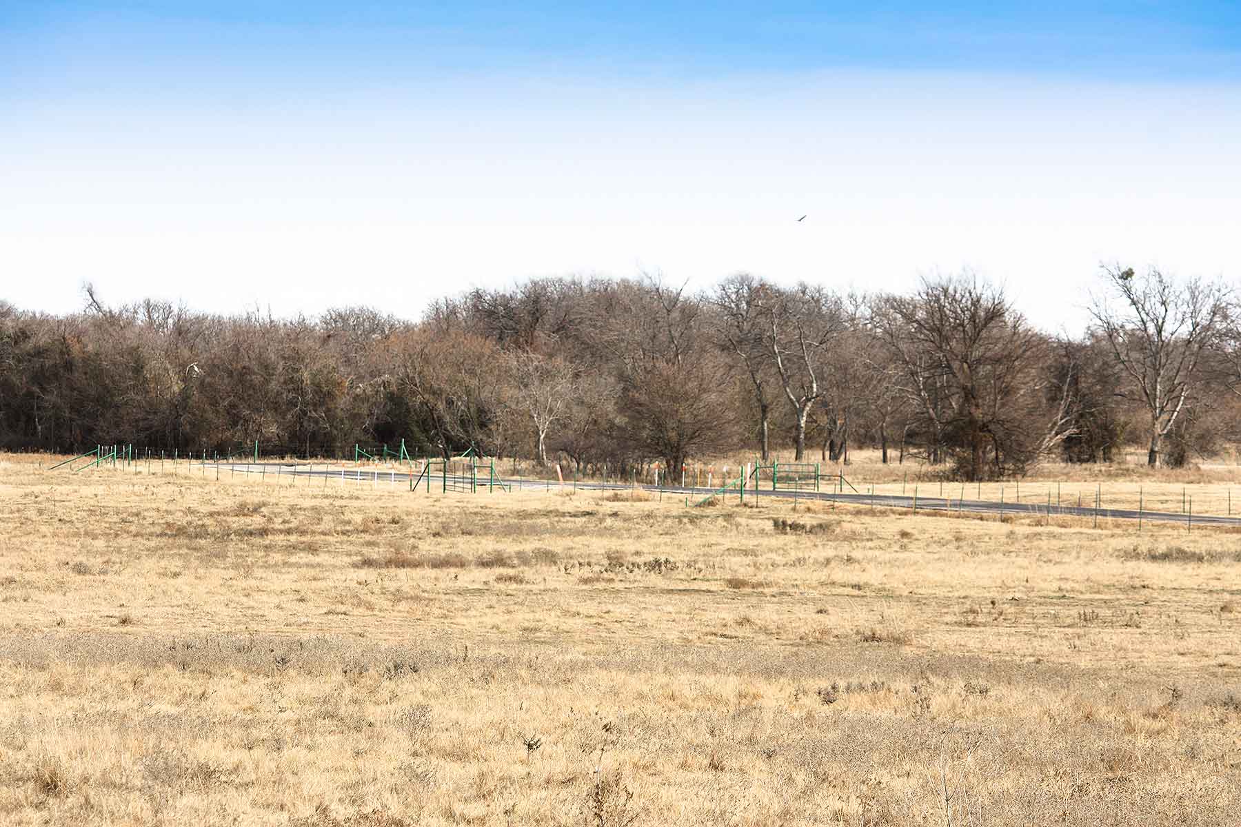 Lucky Star Ranch property picture 42 of 157