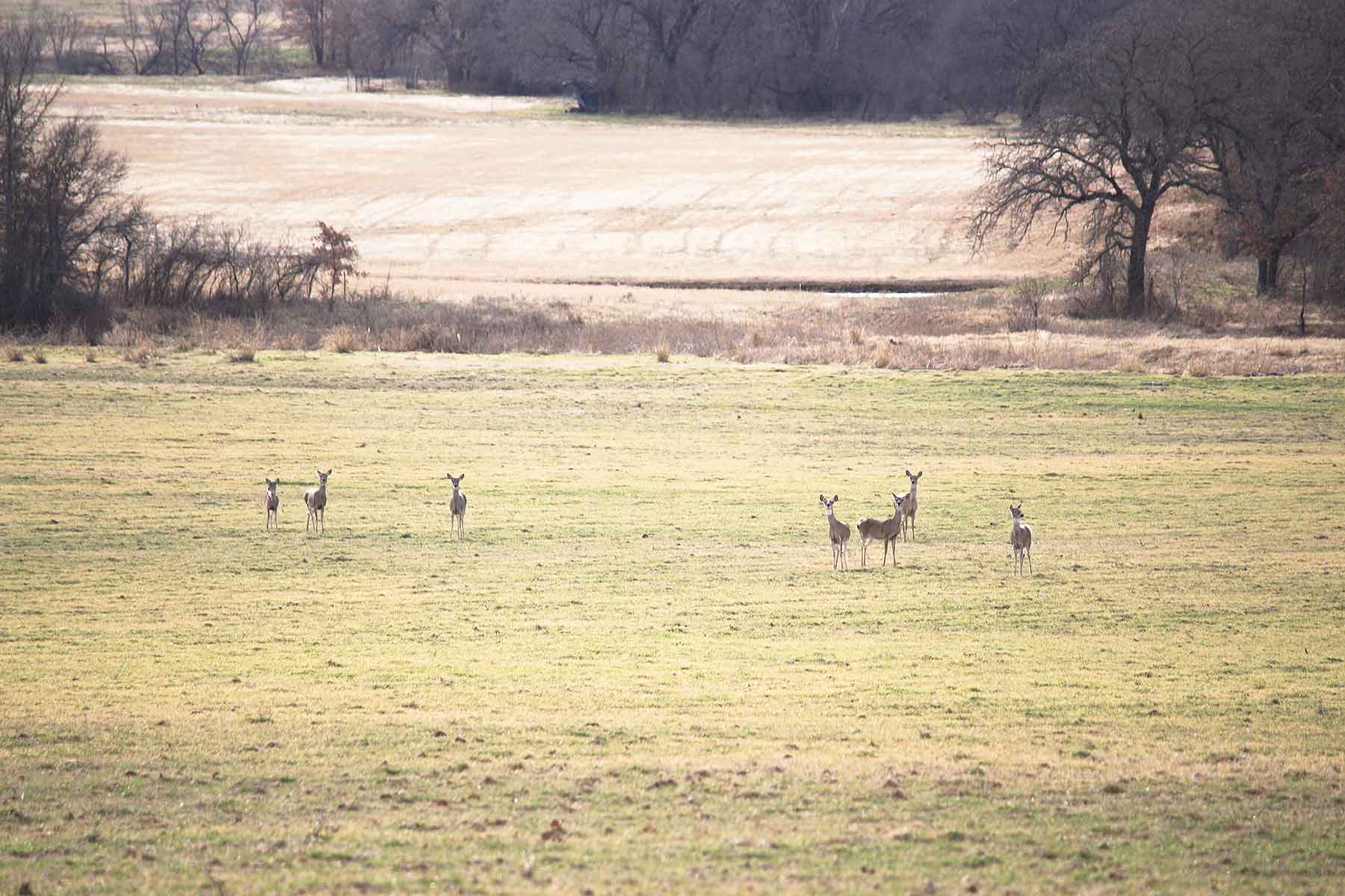 Lucky Star Ranch property picture 47 of 157