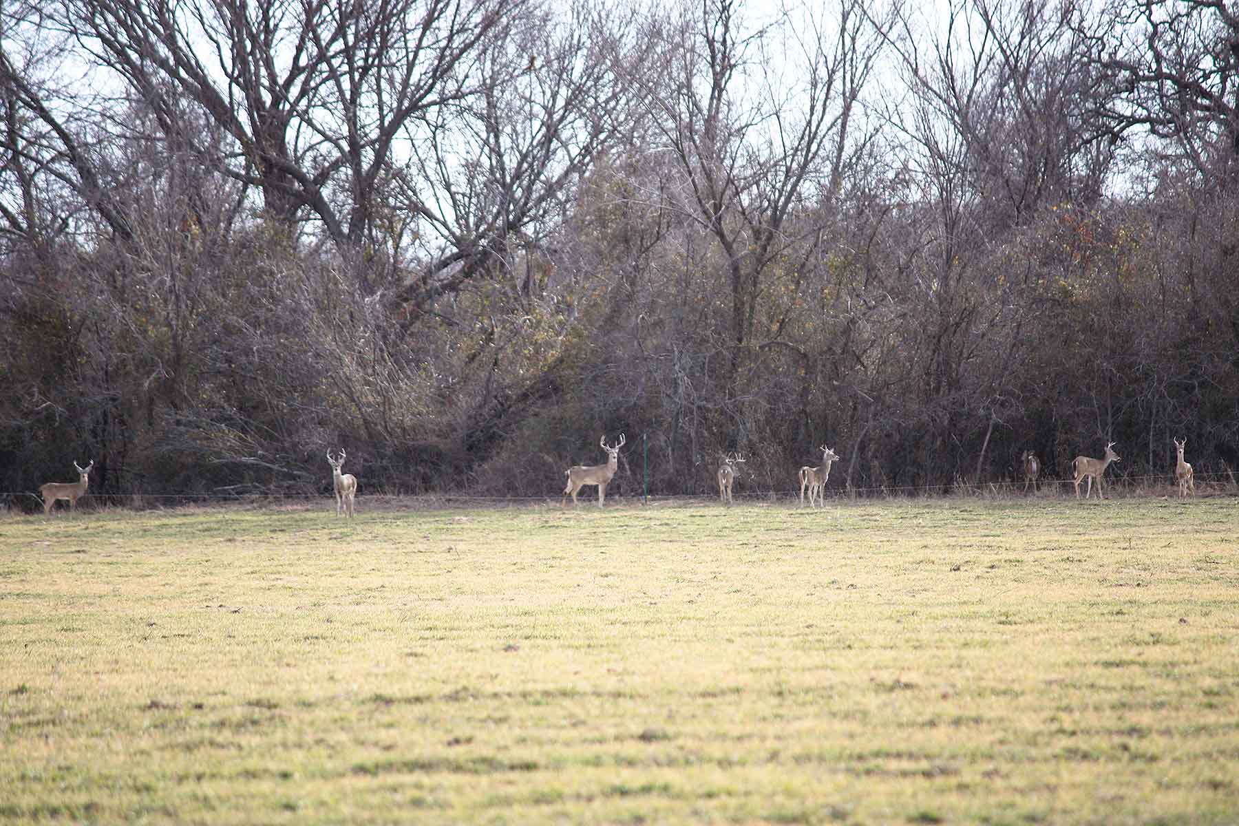 Lucky Star Ranch property picture 49 of 157