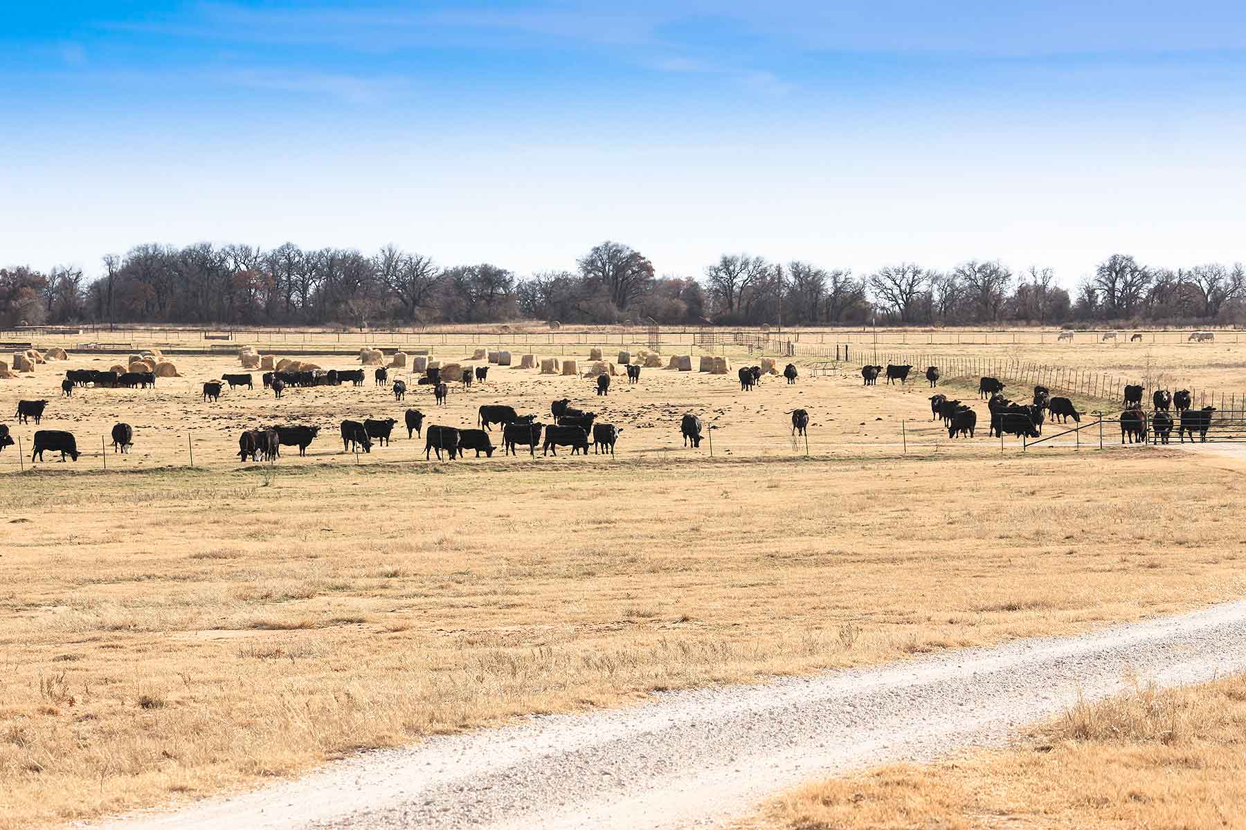 Lucky Star Ranch property picture 51 of 157