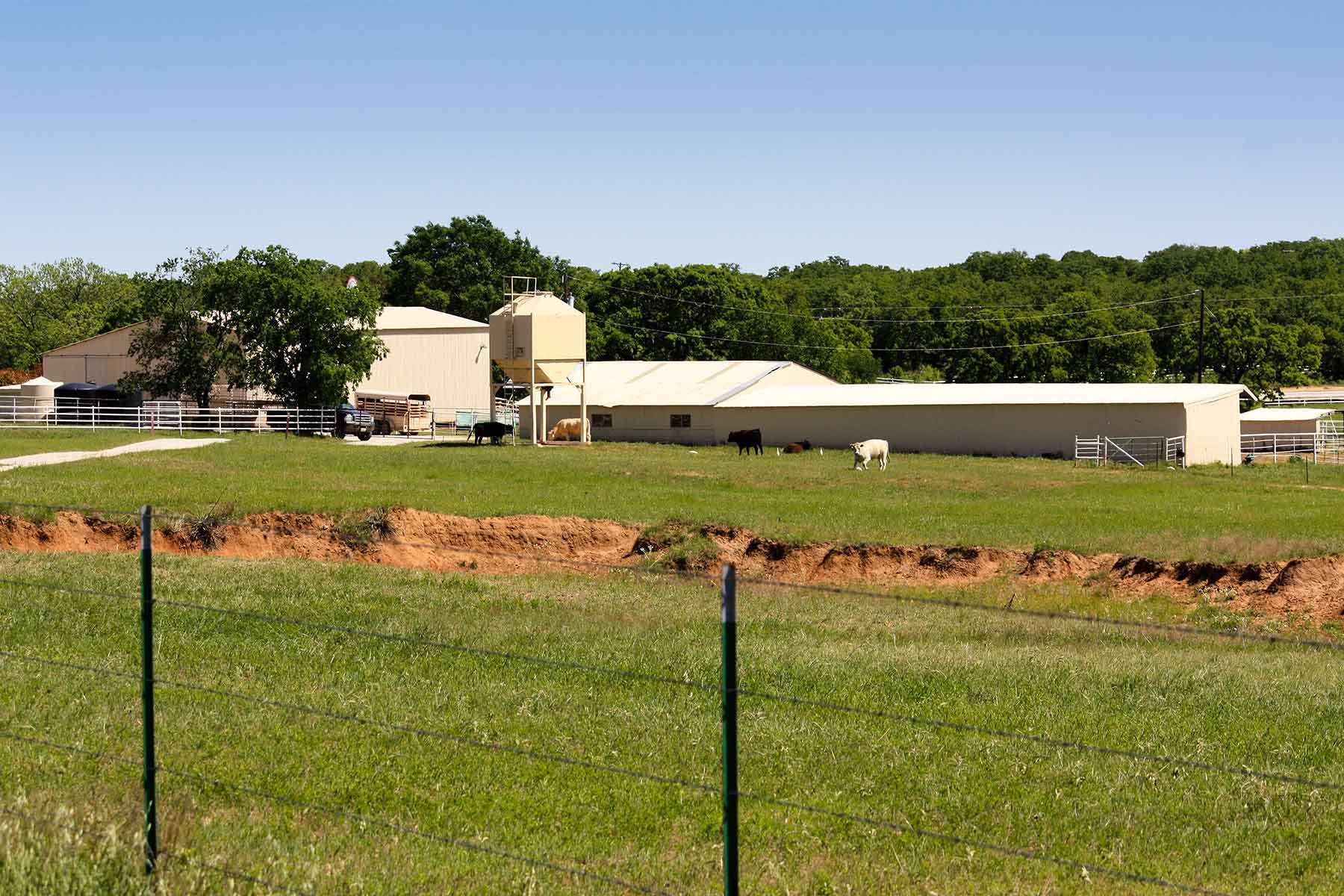 Lucky Star Ranch property picture 59 of 157