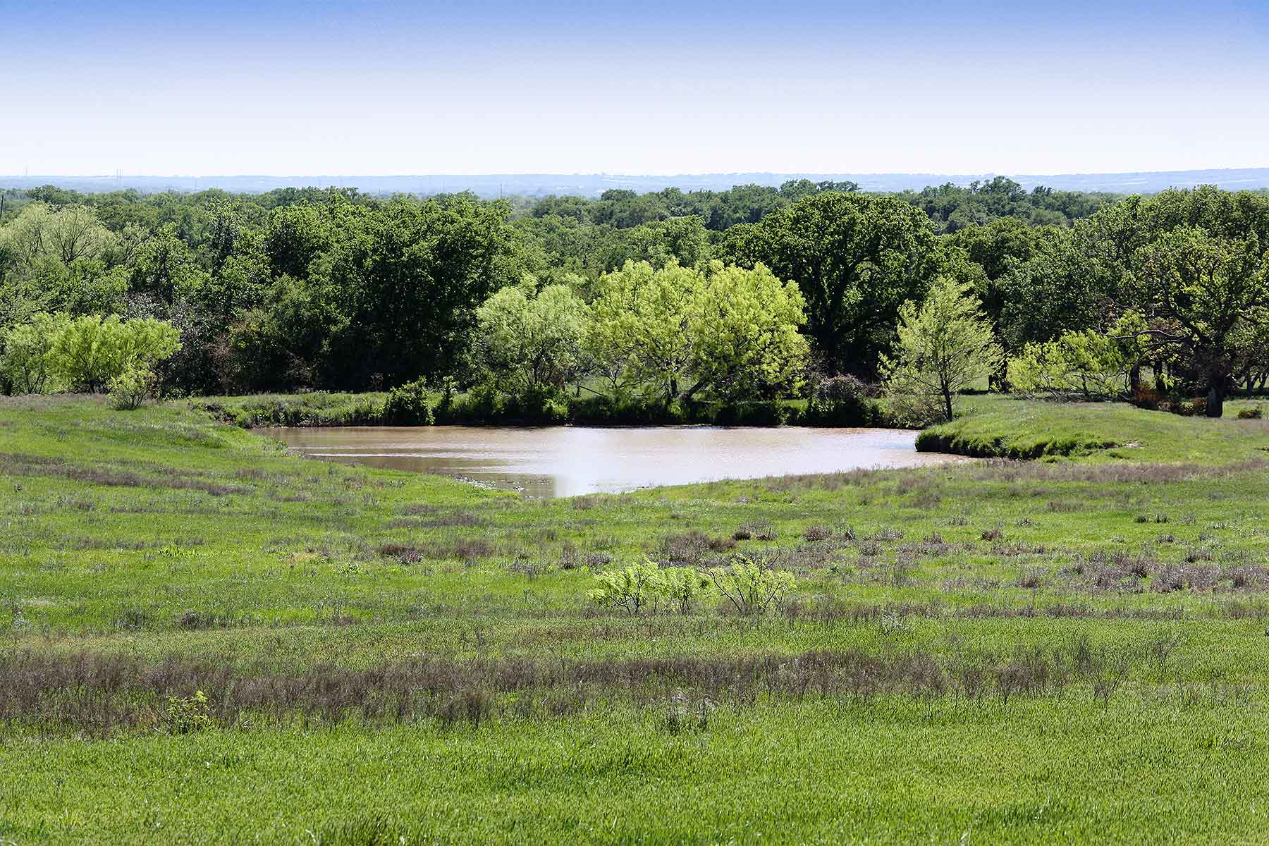 Lucky Star Ranch property picture 65 of 157