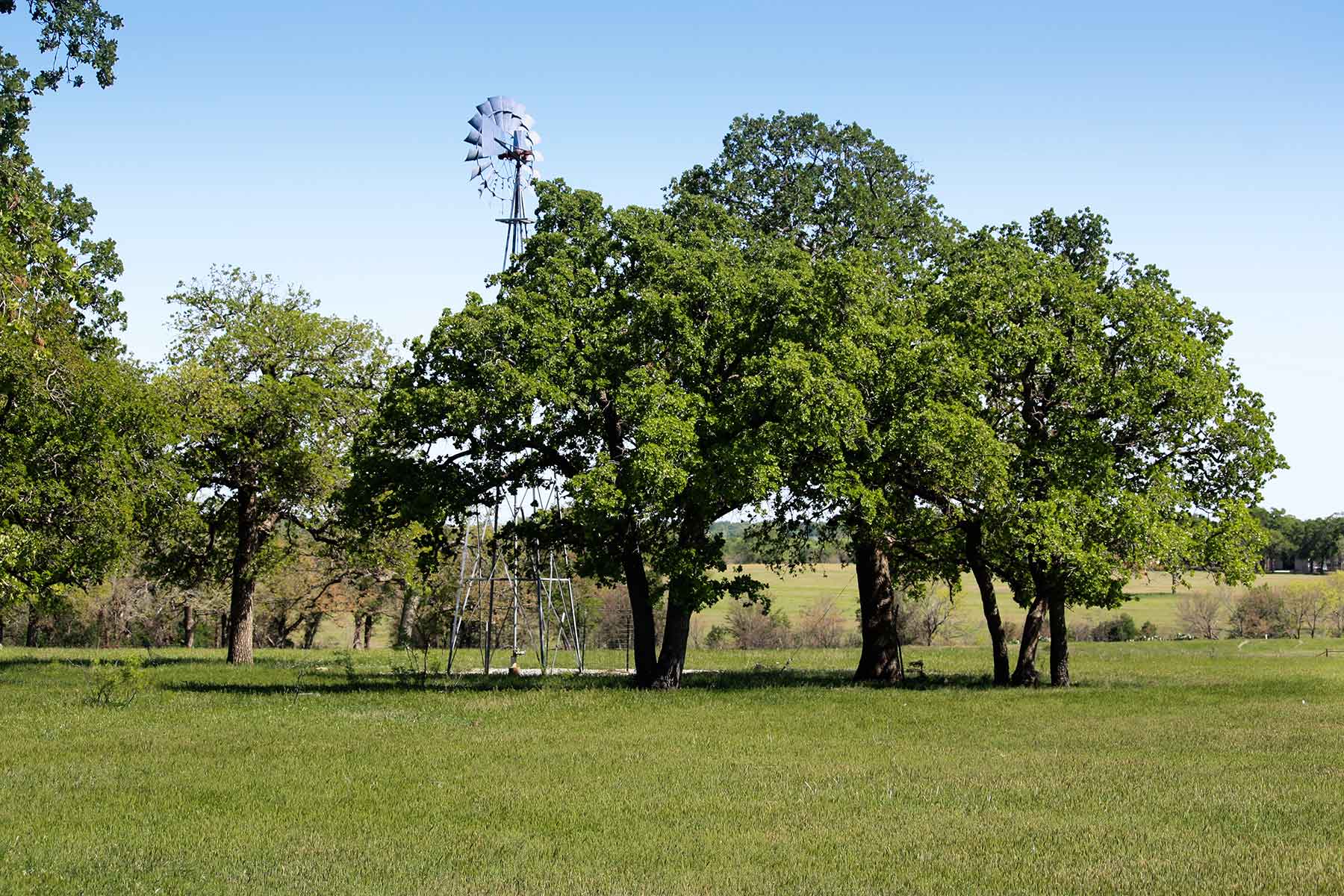 Lucky Star Ranch property picture 67 of 157