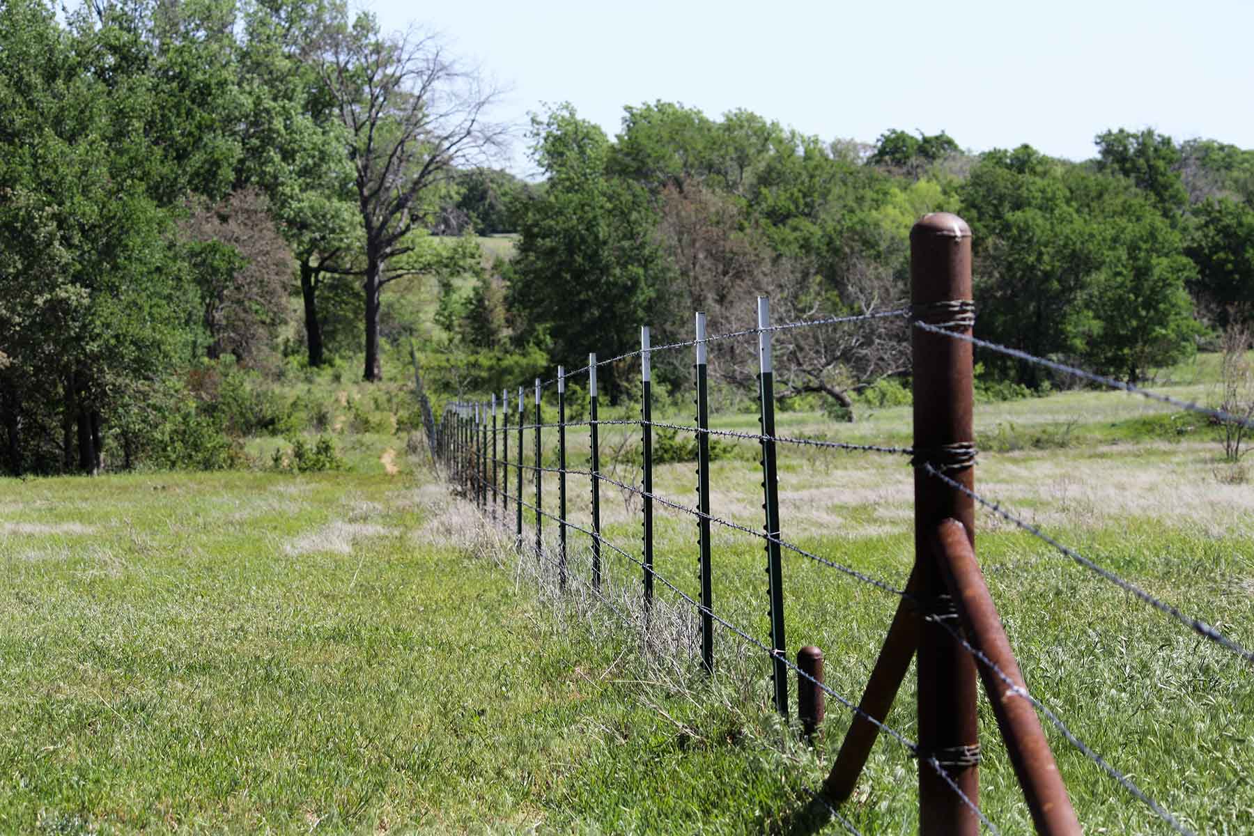 Lucky Star Ranch property picture 97 of 157