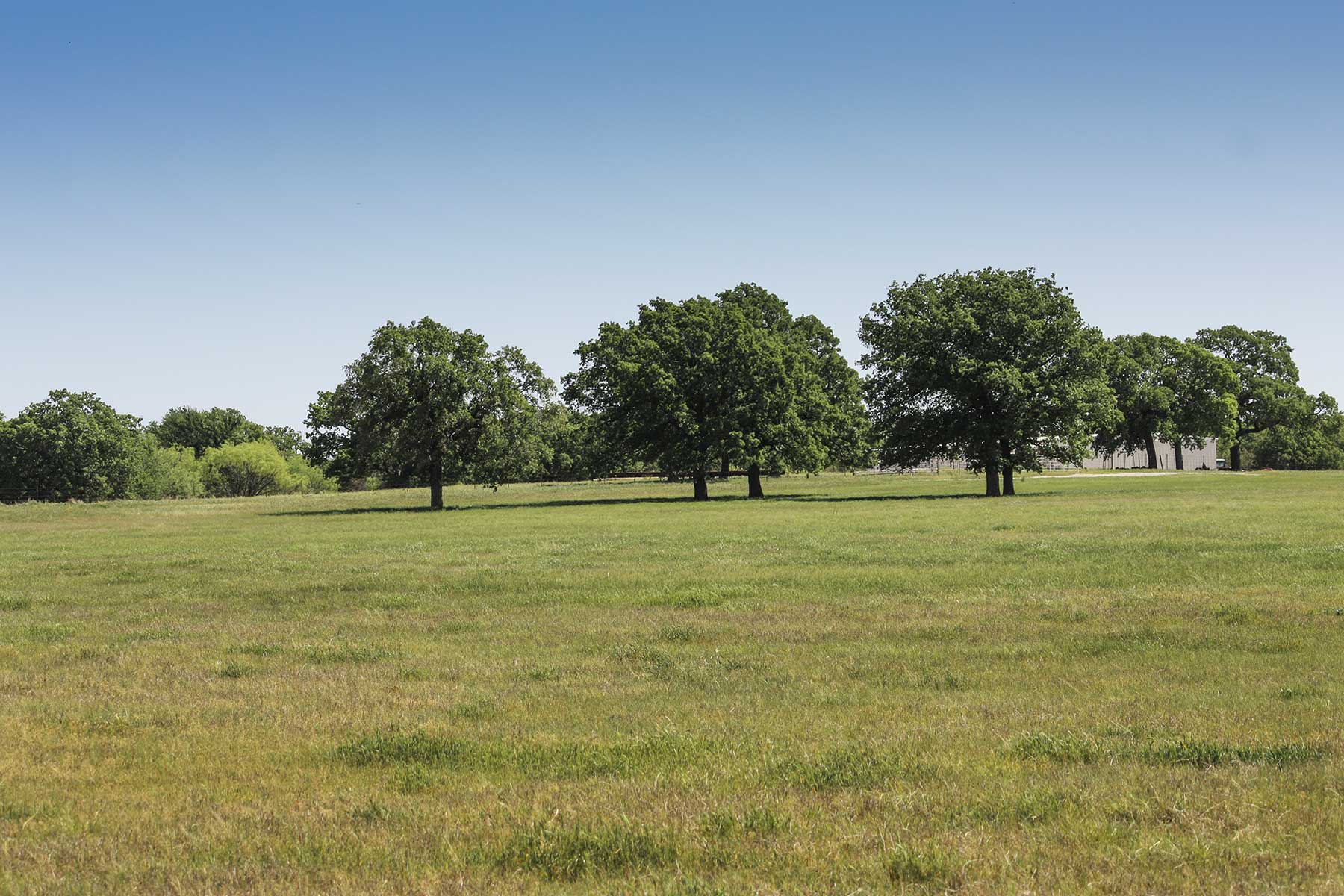 Lucky Star Ranch property picture 96 of 157