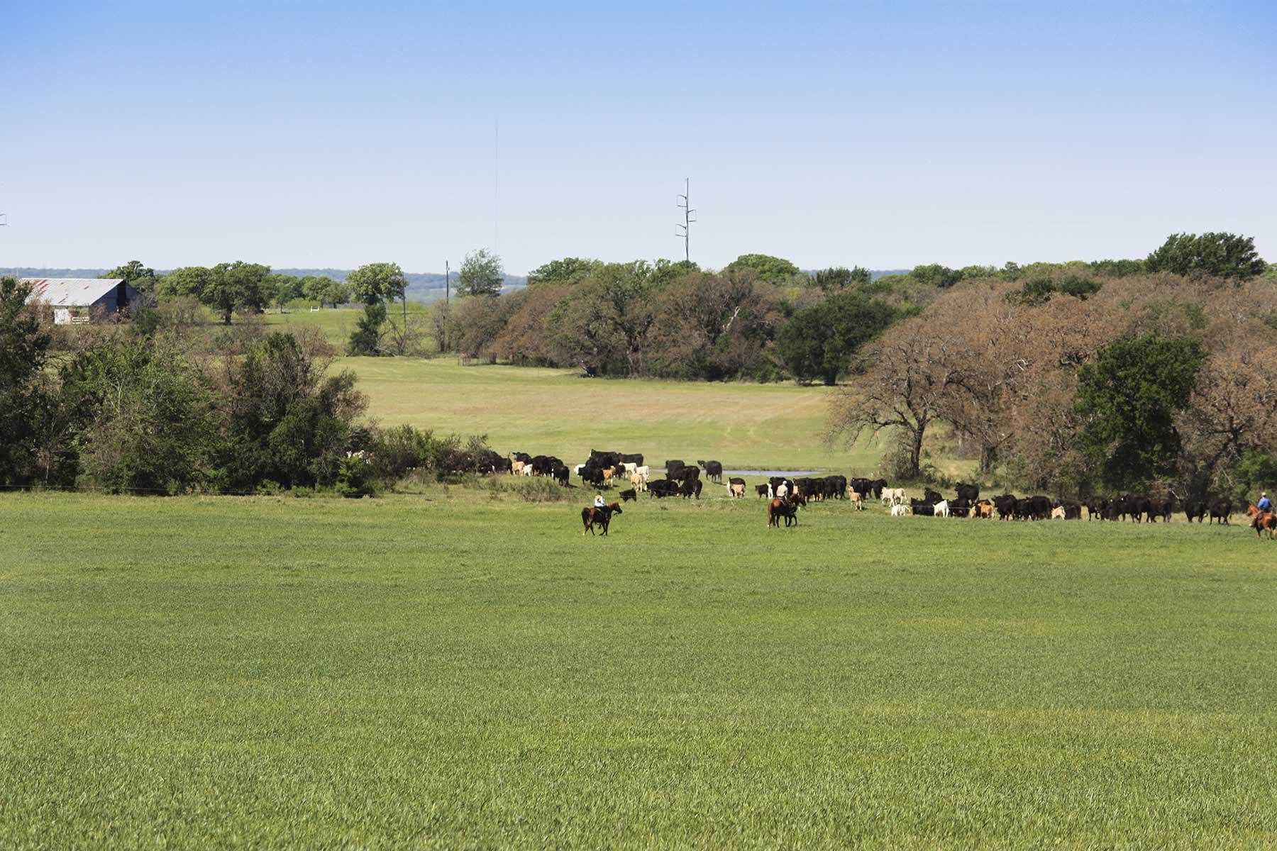 Lucky Star Ranch property picture 95 of 157