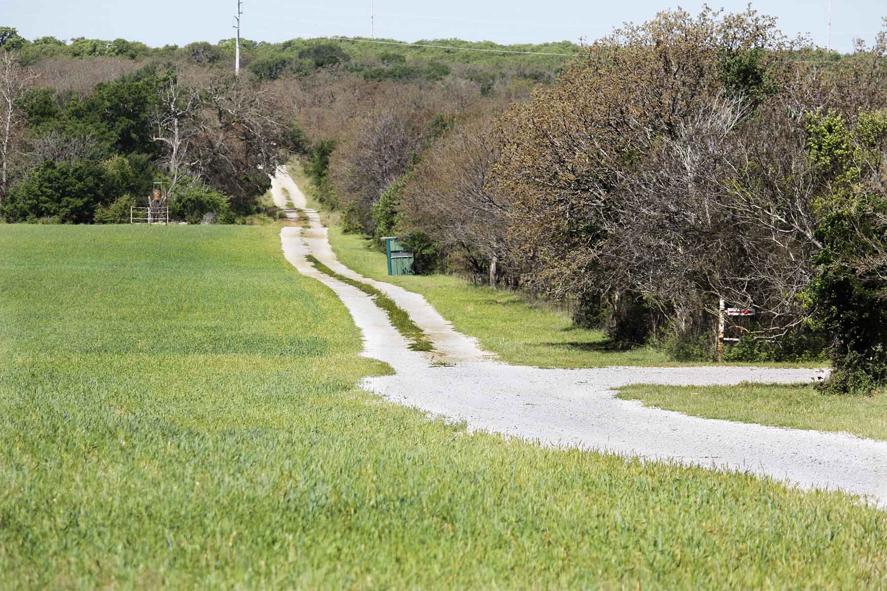 Lucky Star Ranch property picture 94 of 157