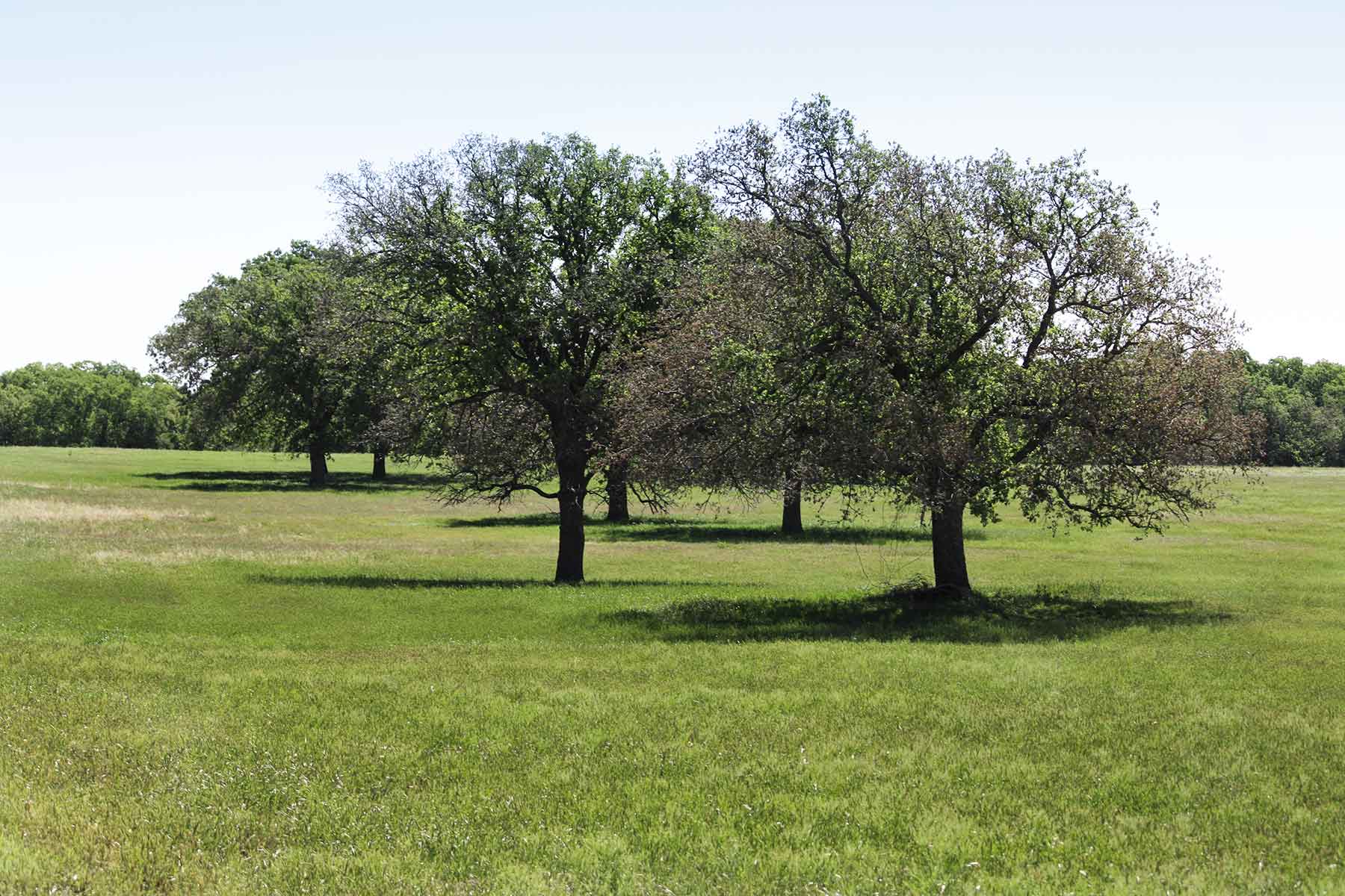 Lucky Star Ranch property picture 92 of 157