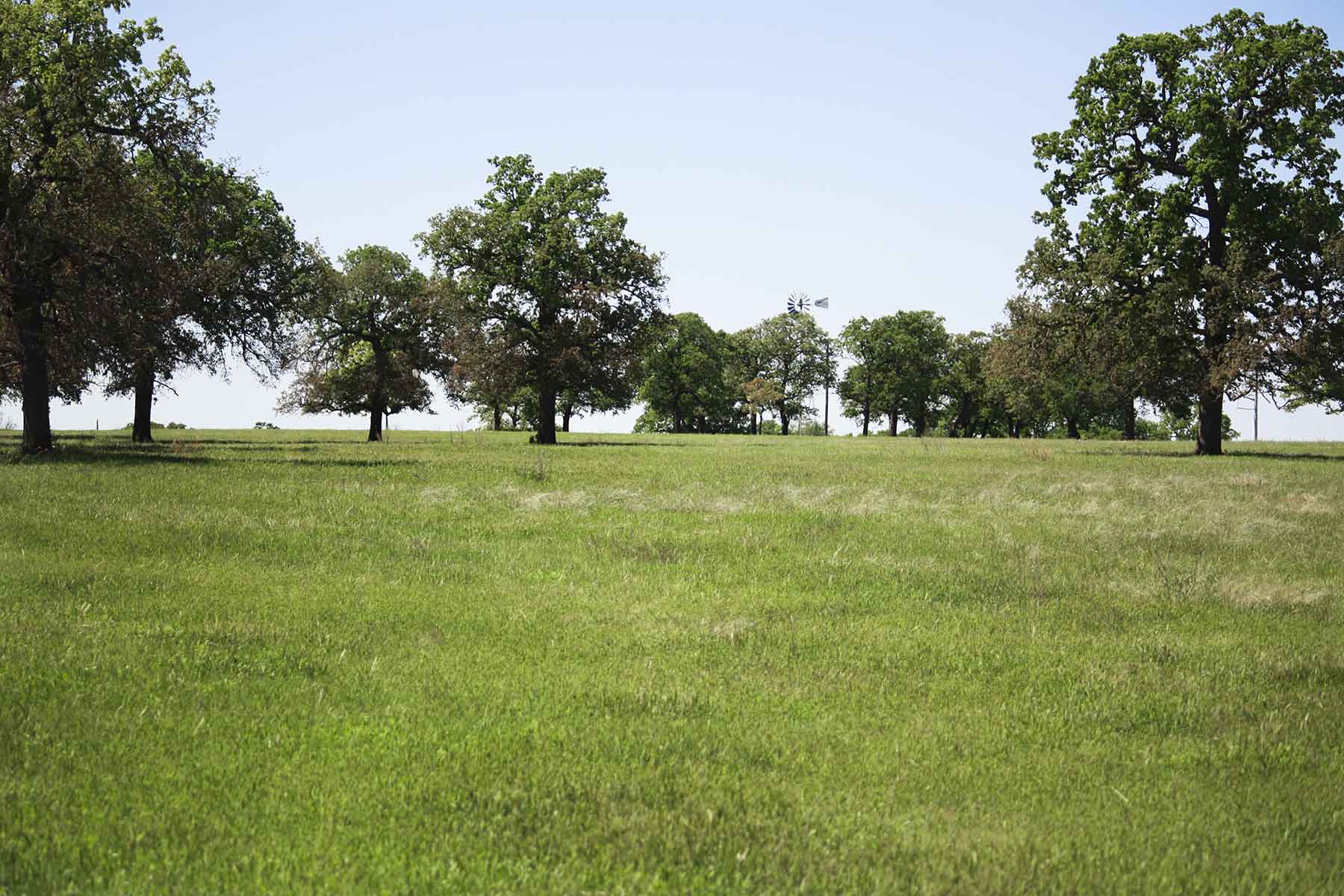 Lucky Star Ranch property picture 90 of 157