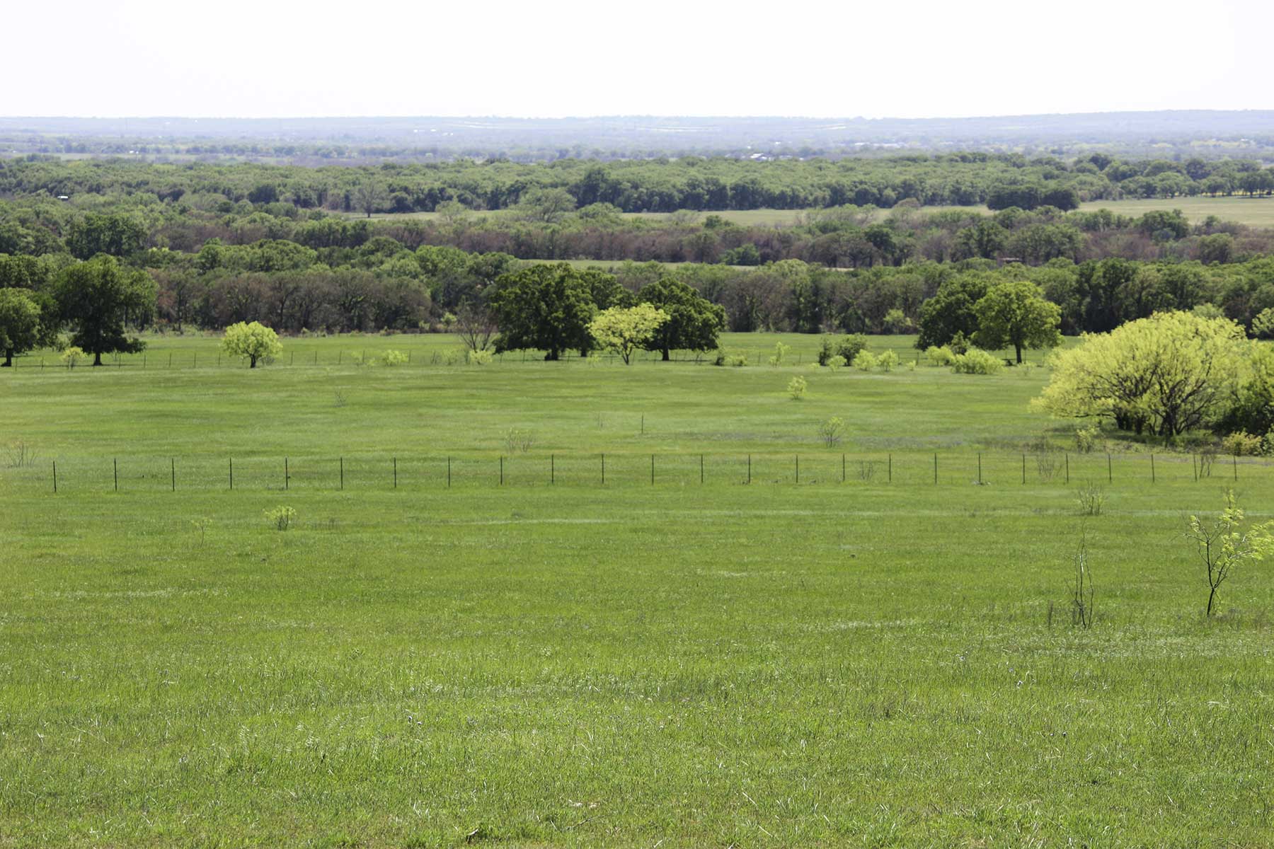 Lucky Star Ranch property picture 98 of 157
