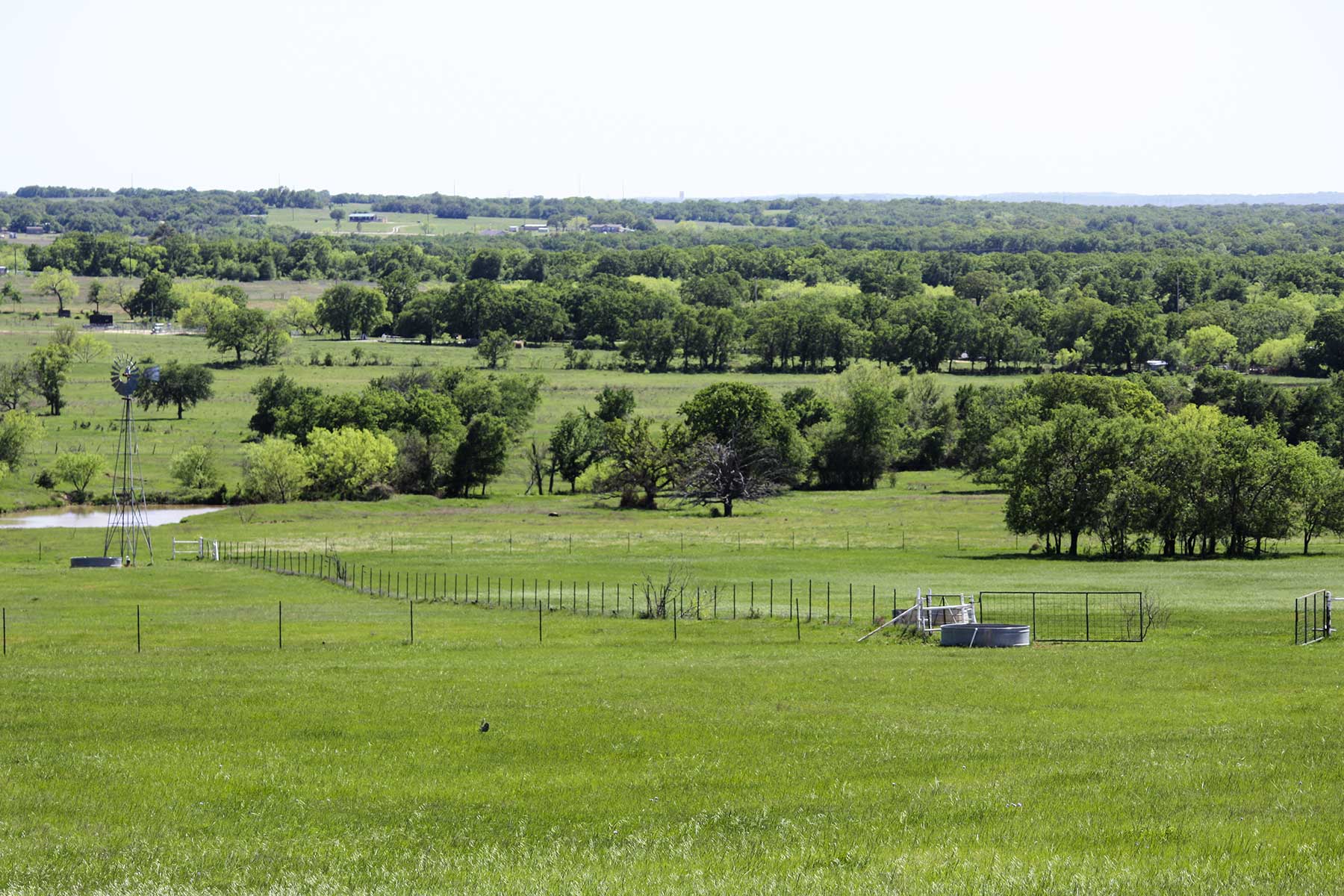 Lucky Star Ranch property picture 83 of 157