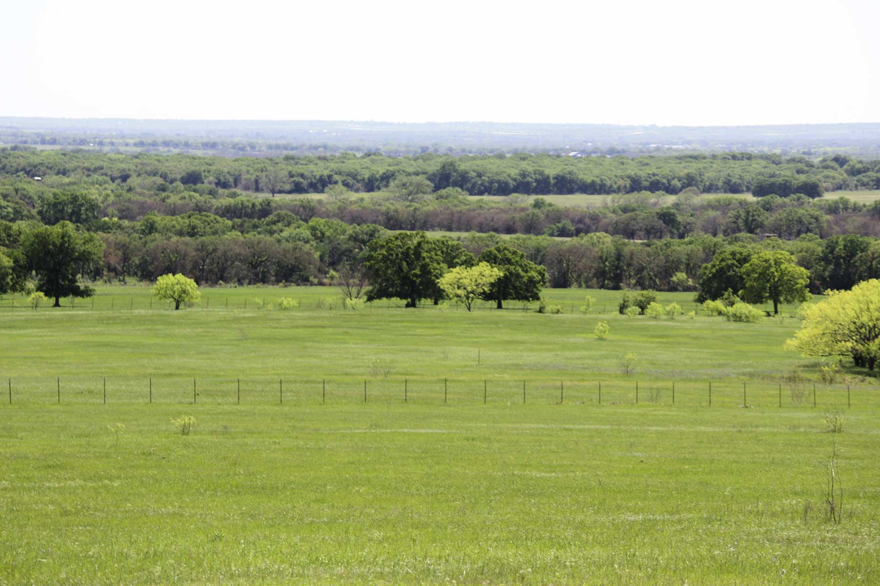 Lucky Star Ranch property picture 82 of 157