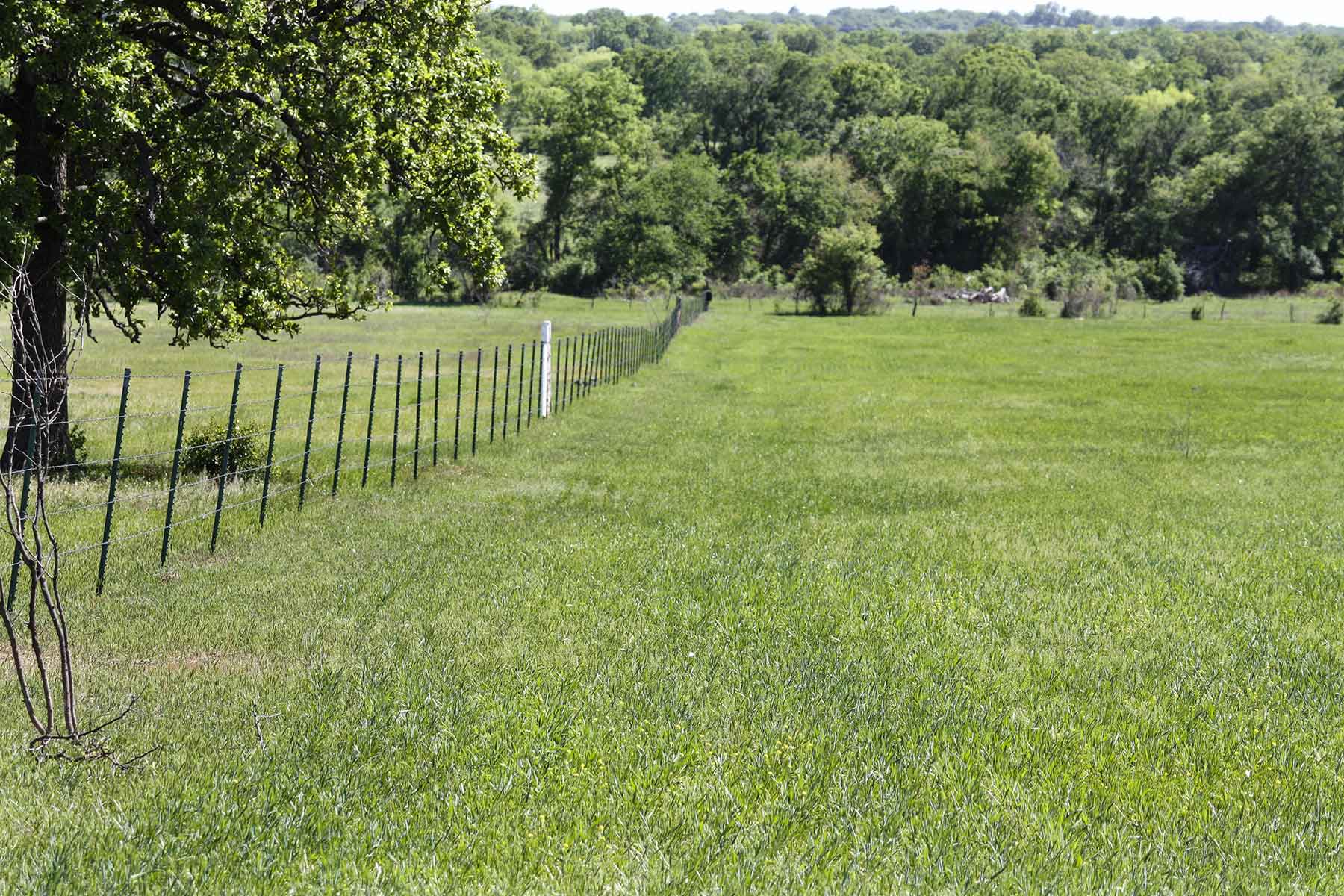 Lucky Star Ranch property picture 77 of 157