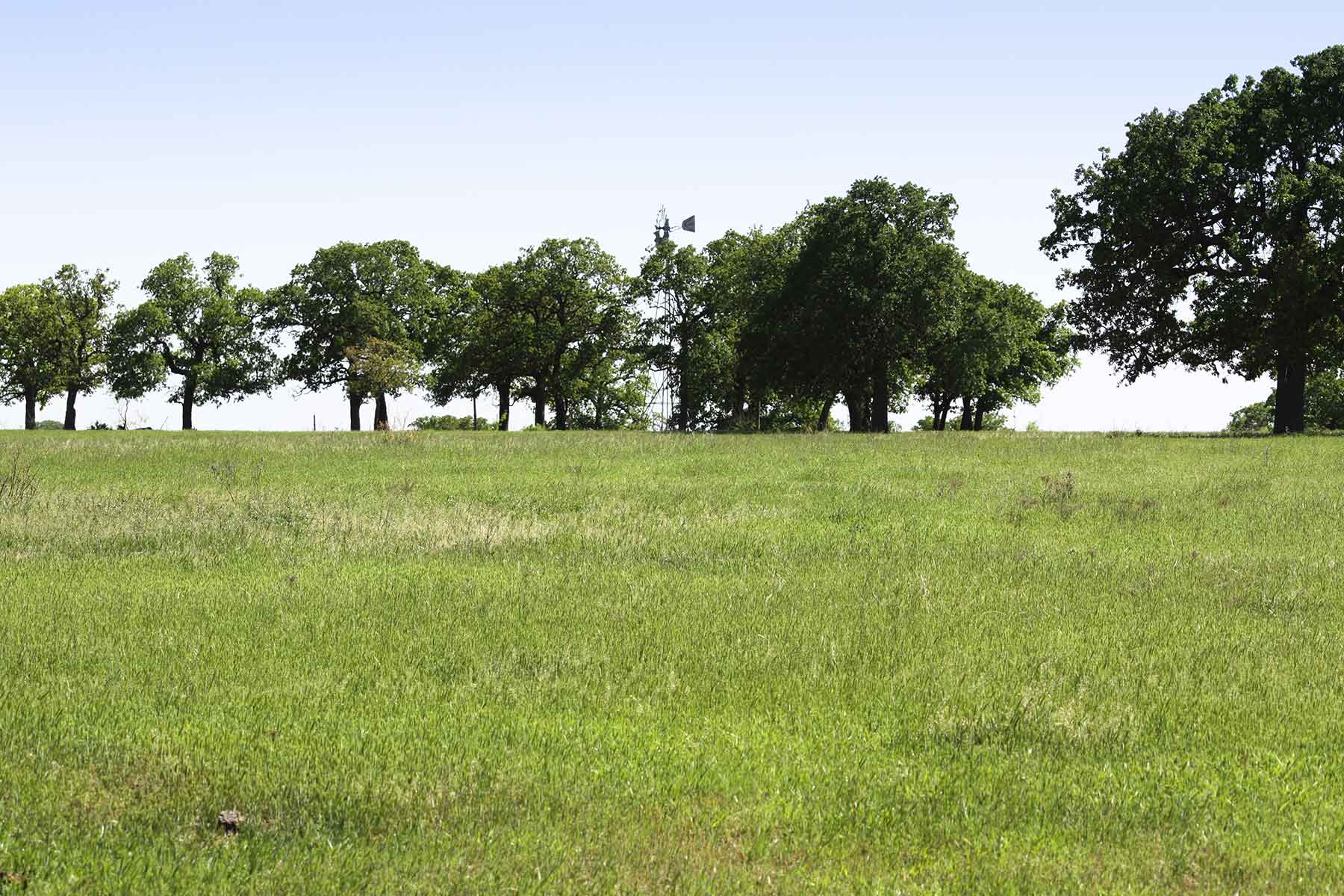 Lucky Star Ranch property picture 76 of 157