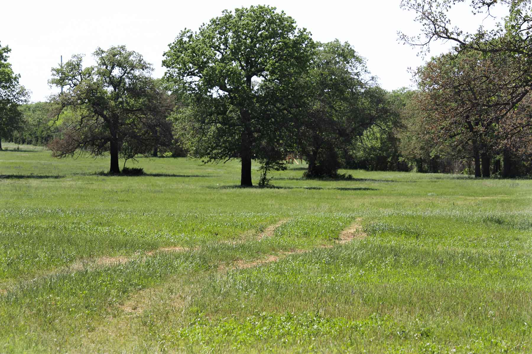 Lucky Star Ranch property picture 75 of 157