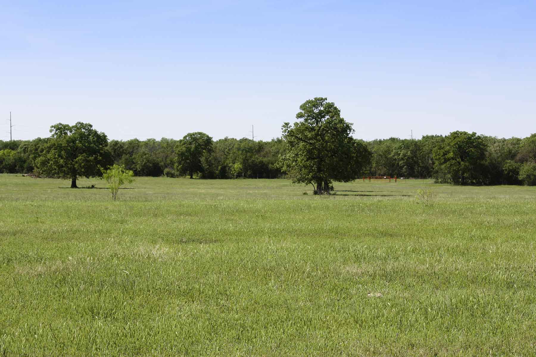 Lucky Star Ranch property picture 74 of 157