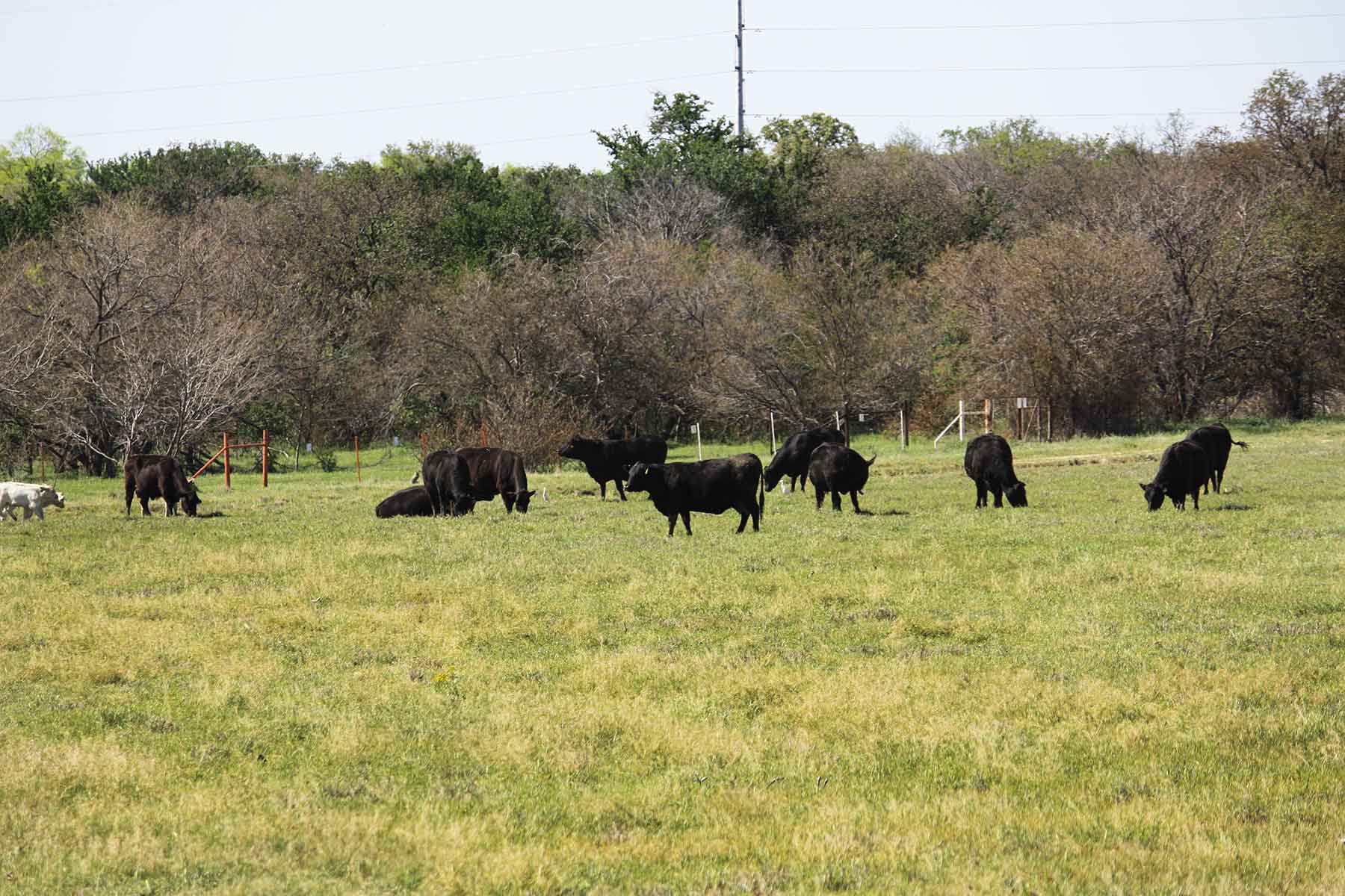 Lucky Star Ranch property picture 72 of 157