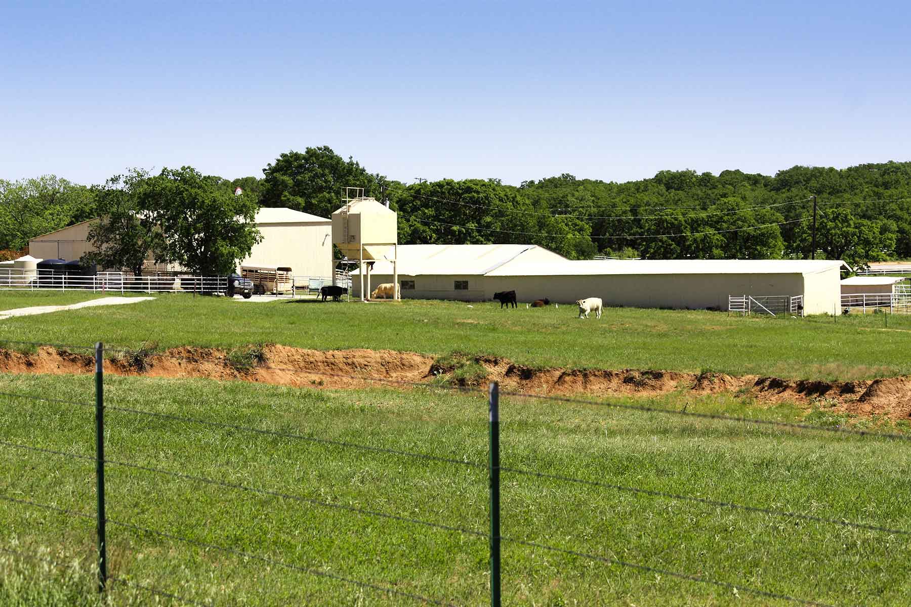 Lucky Star Ranch property picture 71 of 157