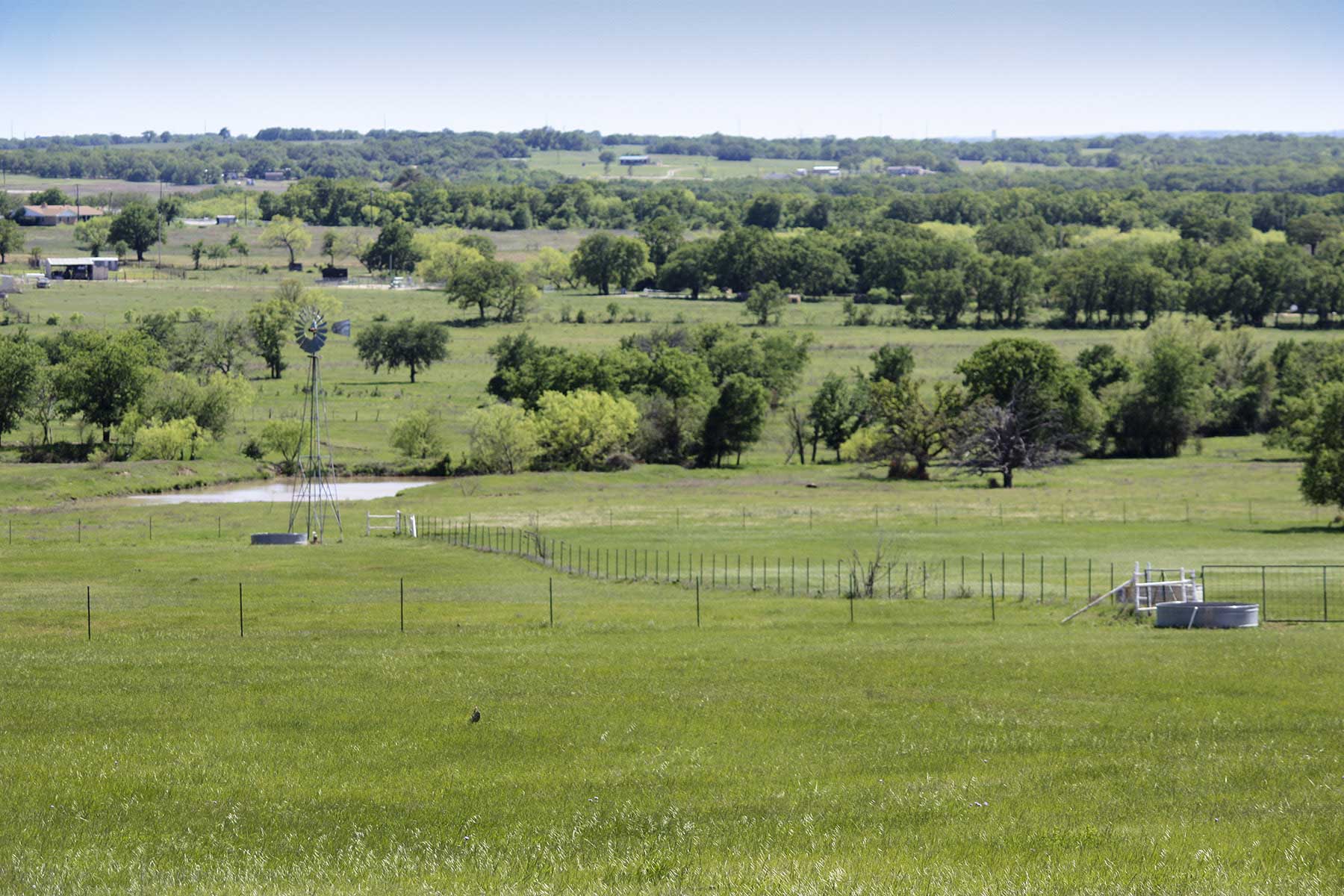 Lucky Star Ranch property picture 69 of 157