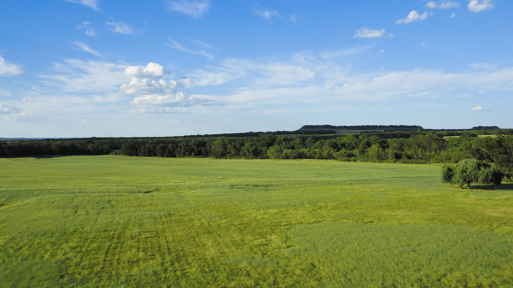 Lucky Star Ranch property picture 126 of 157