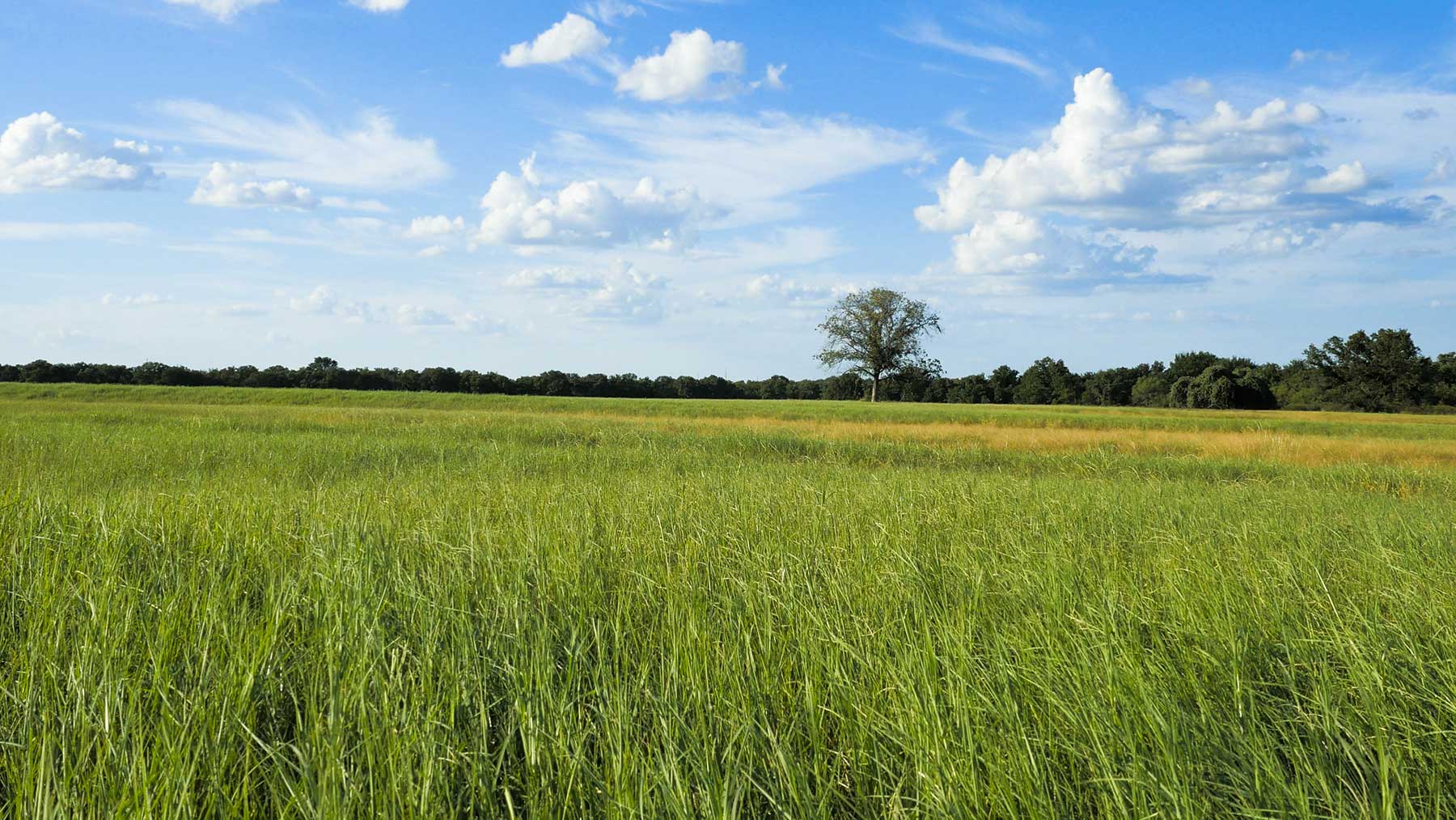 Lucky Star Ranch property picture 125 of 157