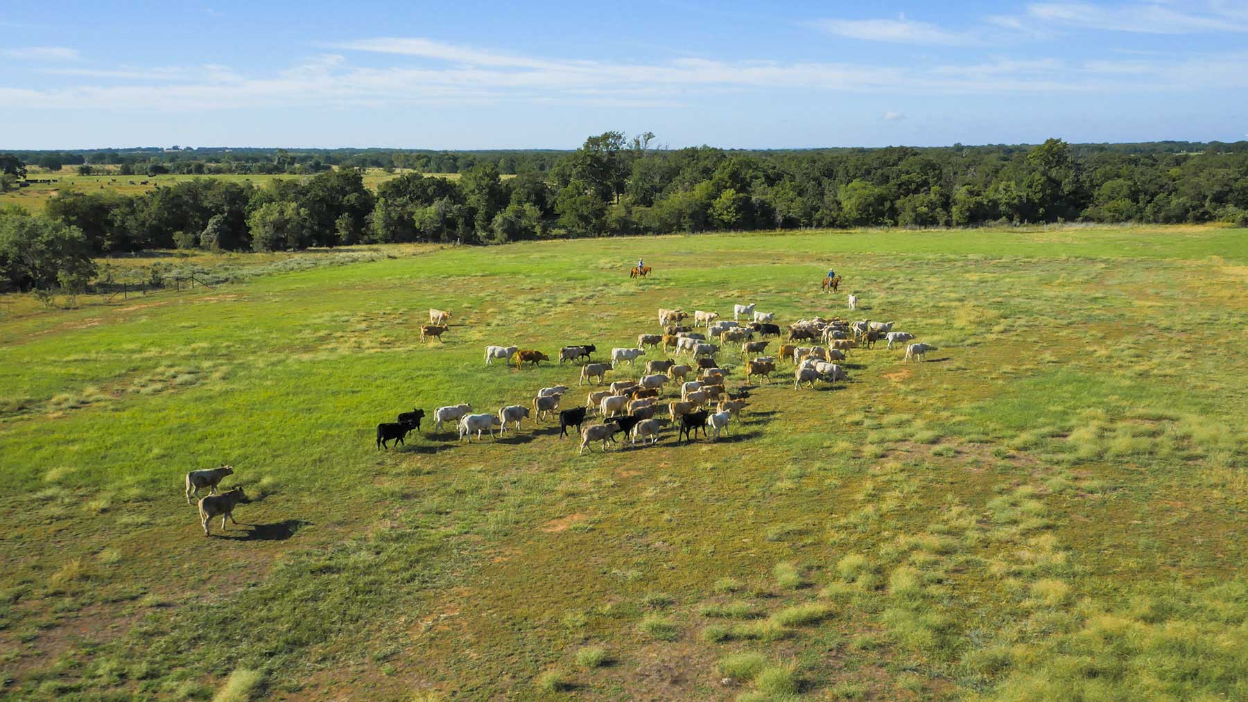 Lucky Star Ranch property picture 118 of 157