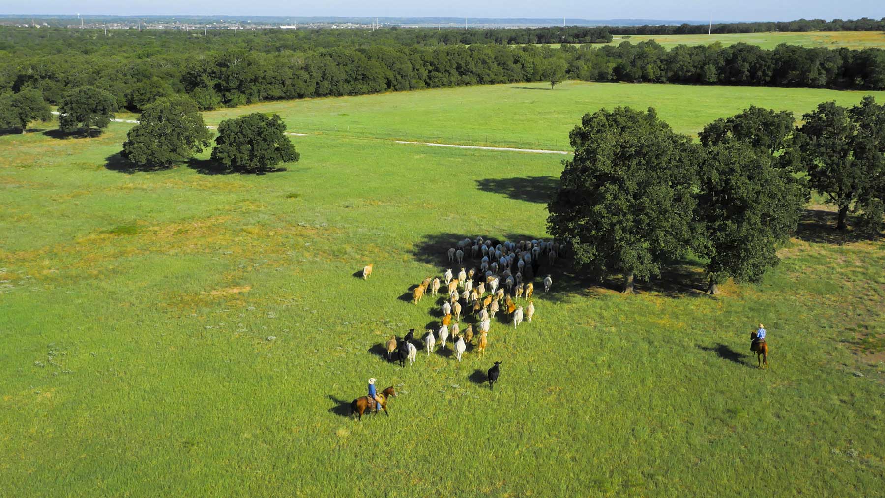 Lucky Star Ranch property picture 117 of 157