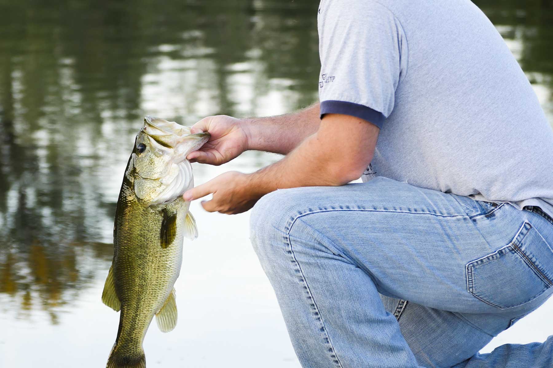 Lucky Star Ranch property picture 112 of 157