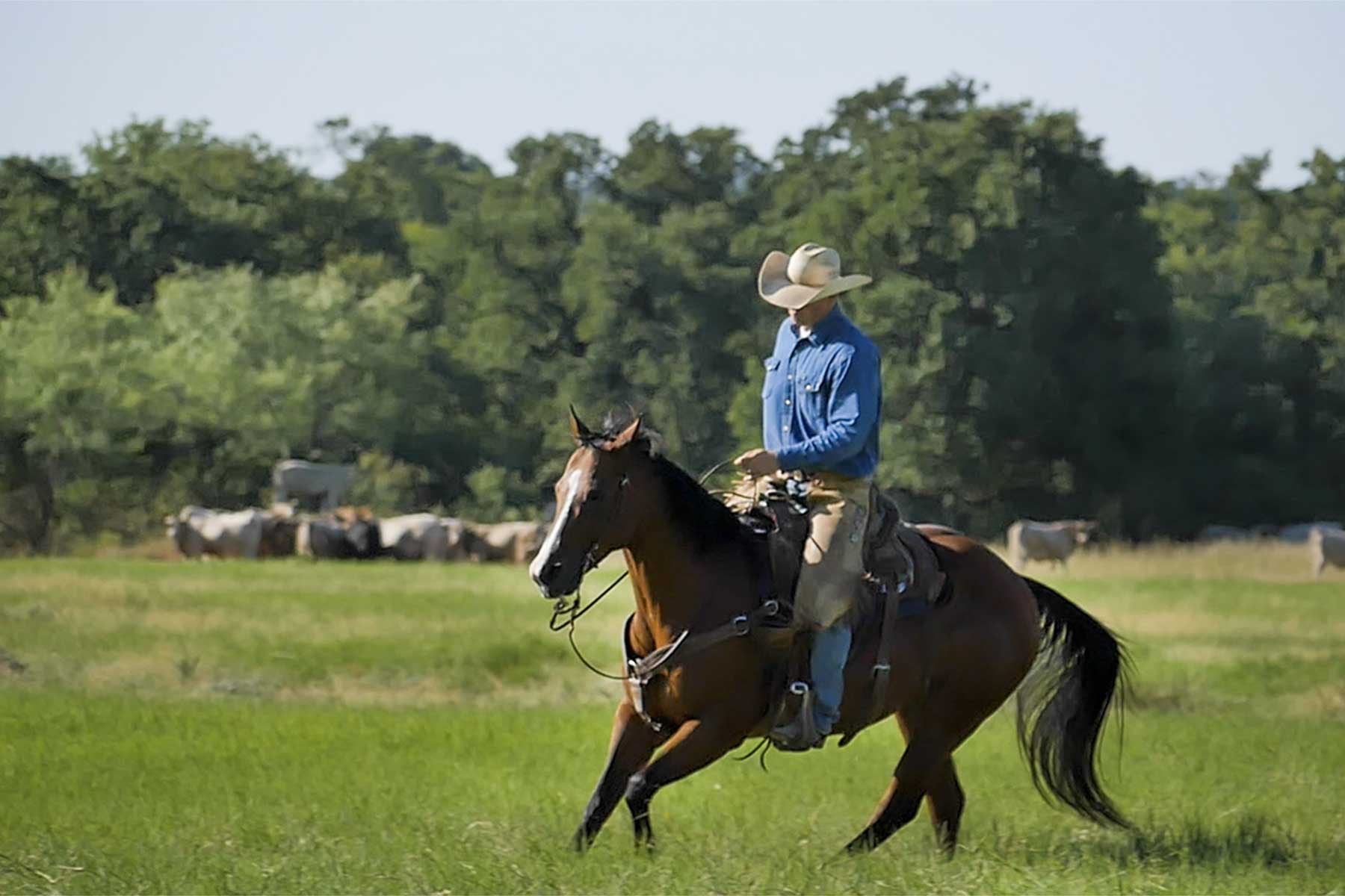 Lucky Star Ranch property picture 100 of 157