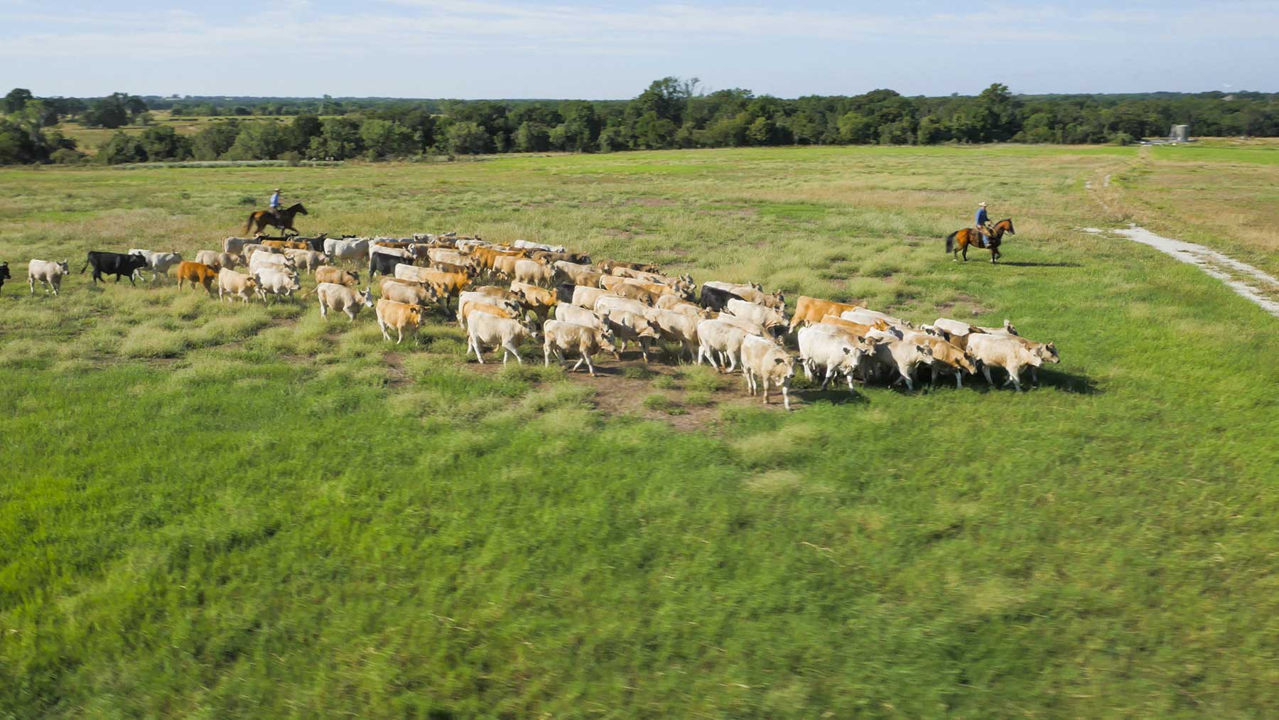 Lucky Star Ranch property picture 101 of 157