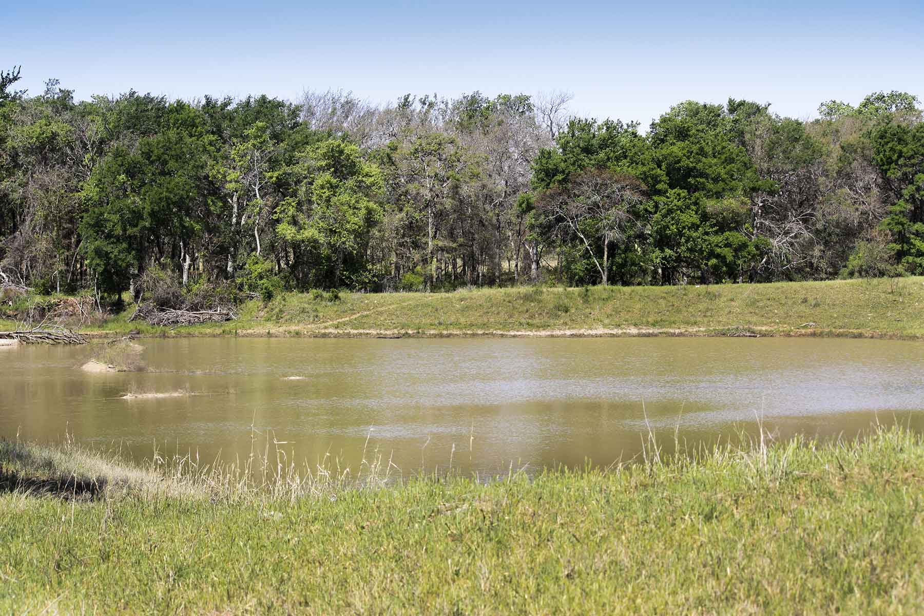 Lucky Star Ranch property picture 129 of 157