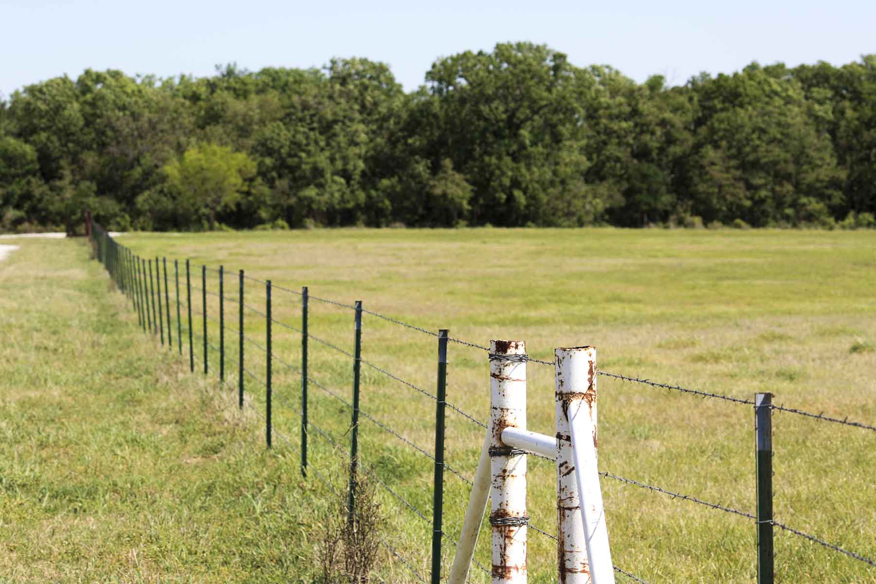 Lucky Star Ranch property picture 130 of 157