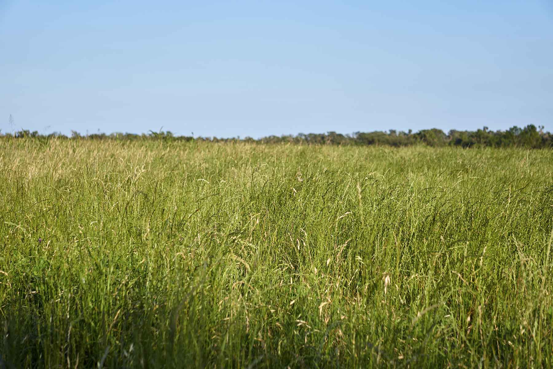 Lucky Star Ranch property picture 156 of 157