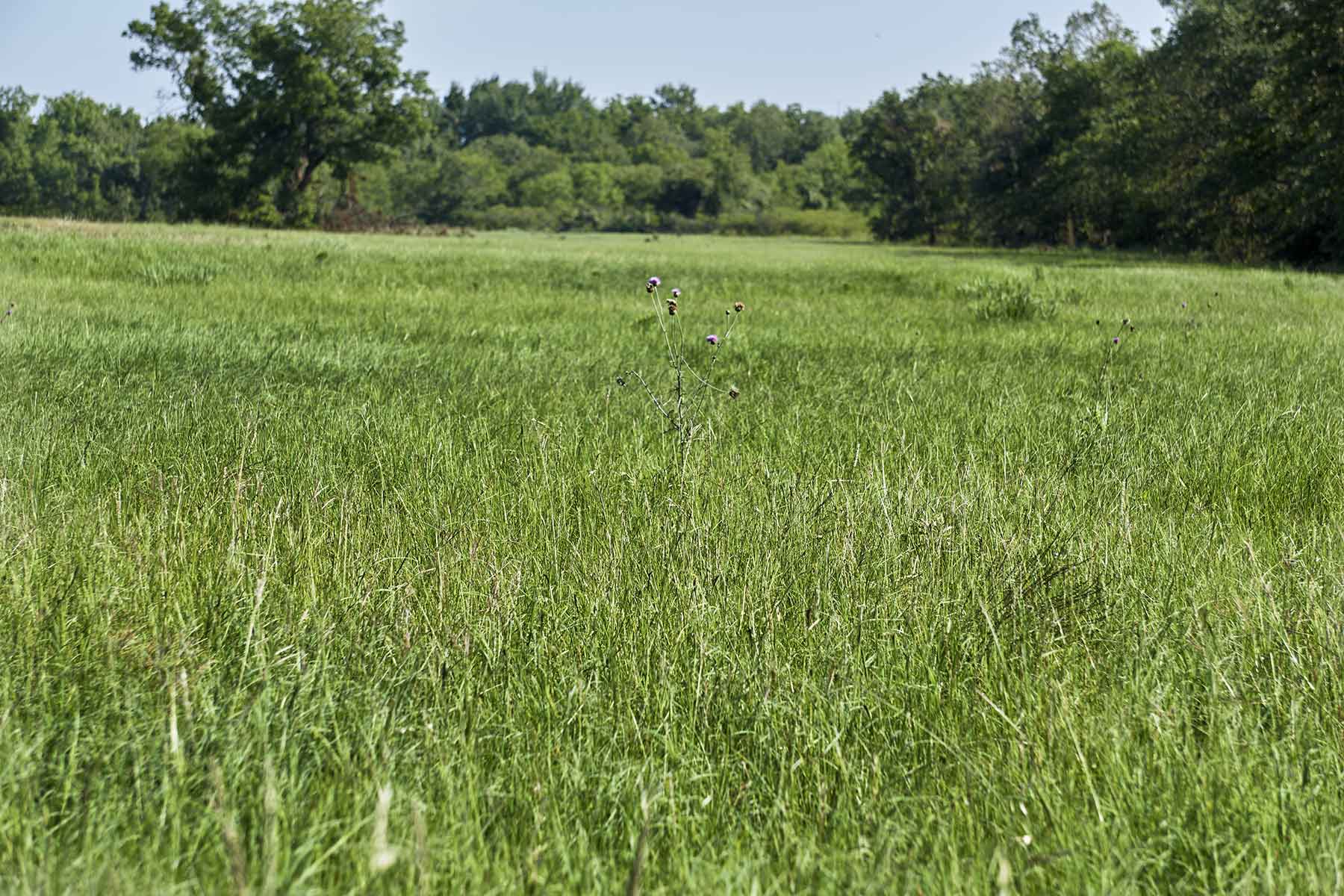 Lucky Star Ranch property picture 155 of 157